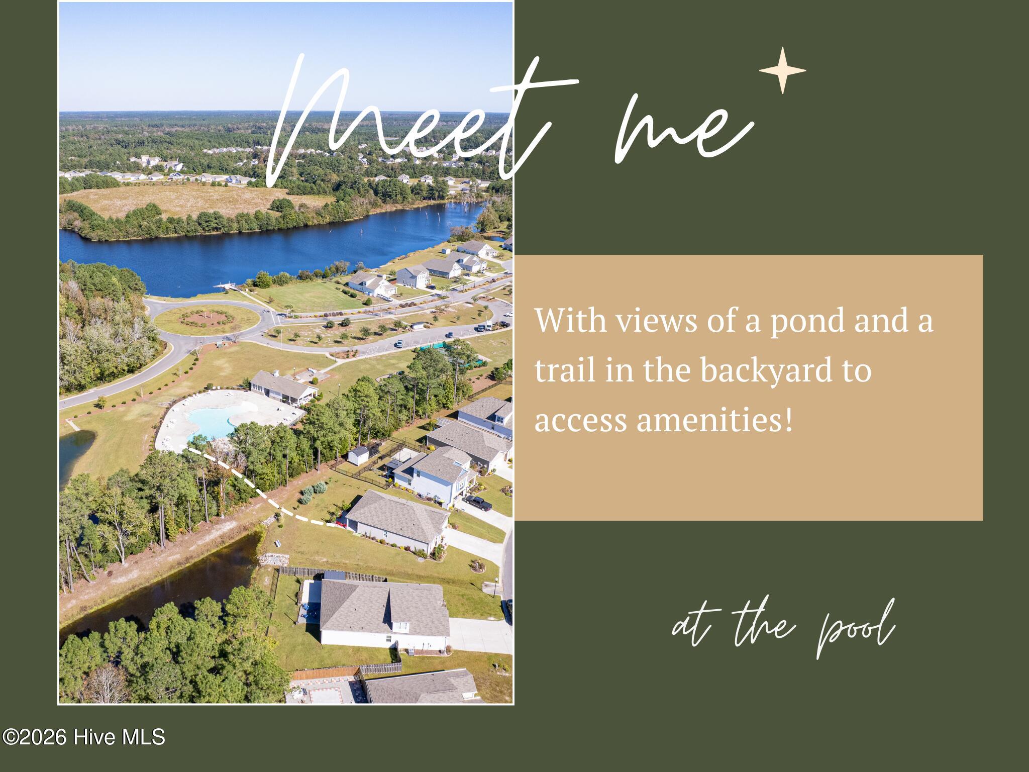 100537836 | Photo 40