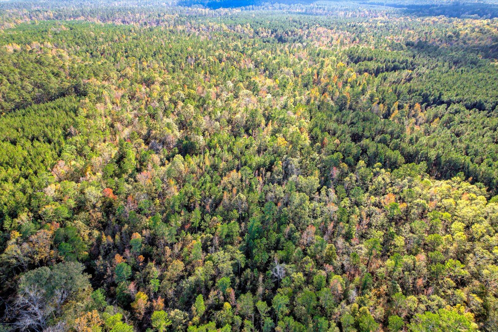 TBD2 SC-23, Edgefield, SC, 29824