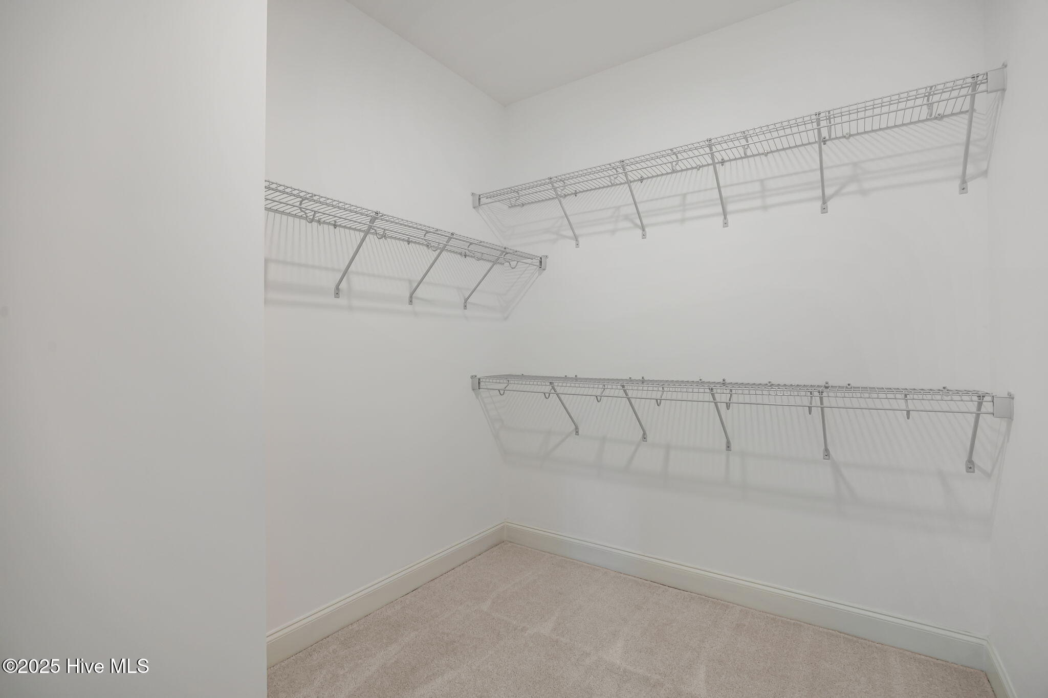 100528591 | Photo 13