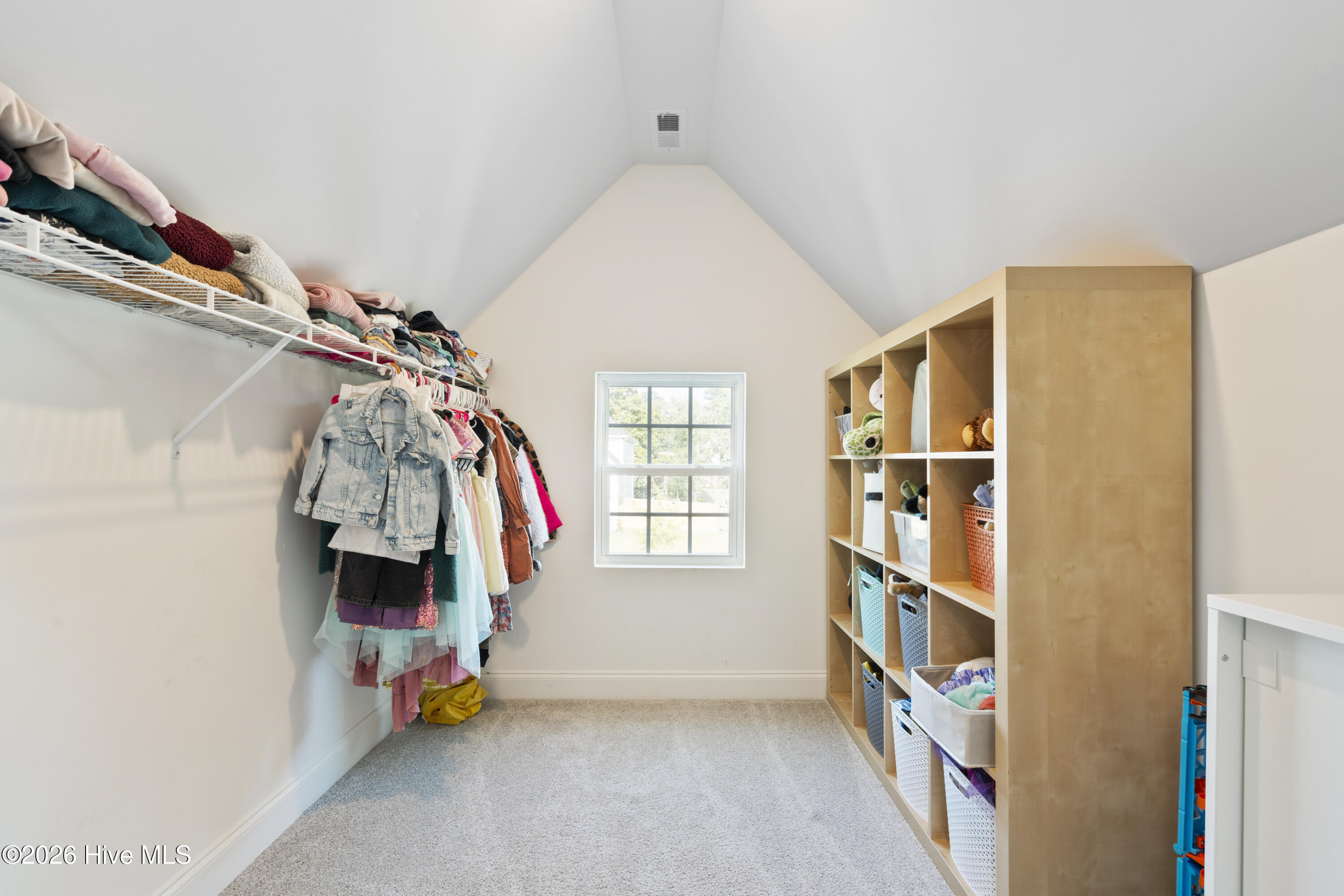 100564295 | Photo 50