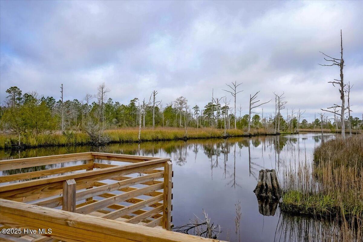 100534521 | Photo 49