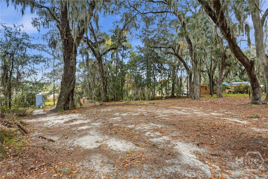 123 Salt Creek Road, Savannah, GA, 31405