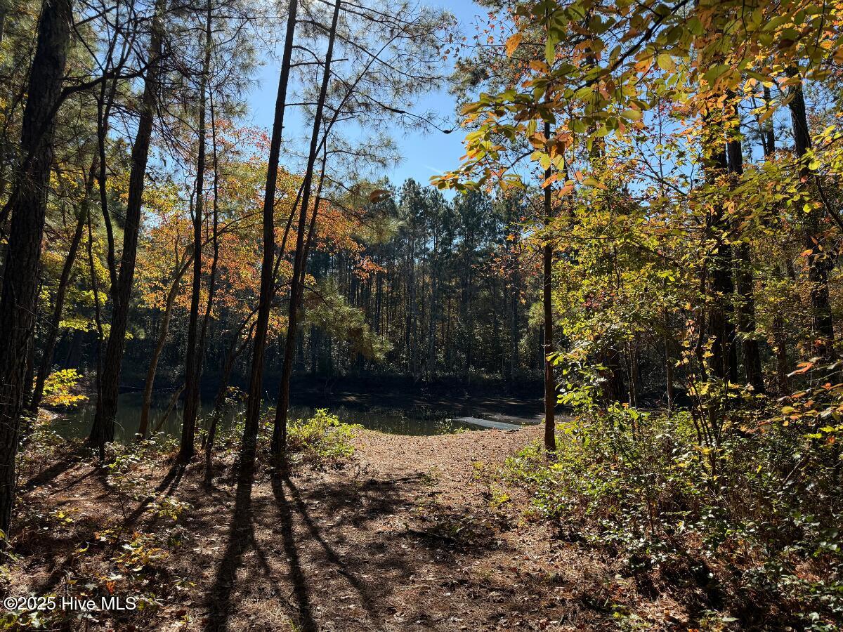 100540348 | Photo 12