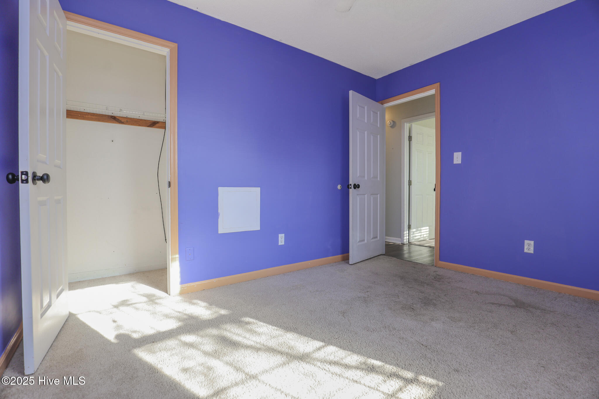 100522542 | Photo 22