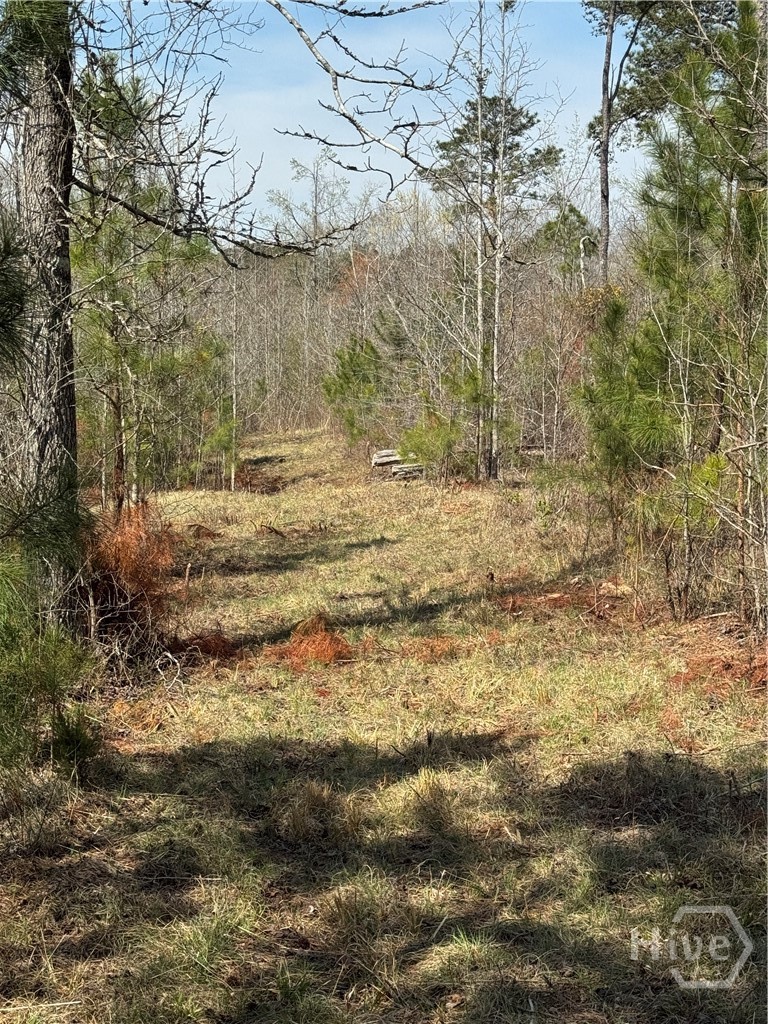 738 Old Mineral Springs Road, Elberton, GA, 30635