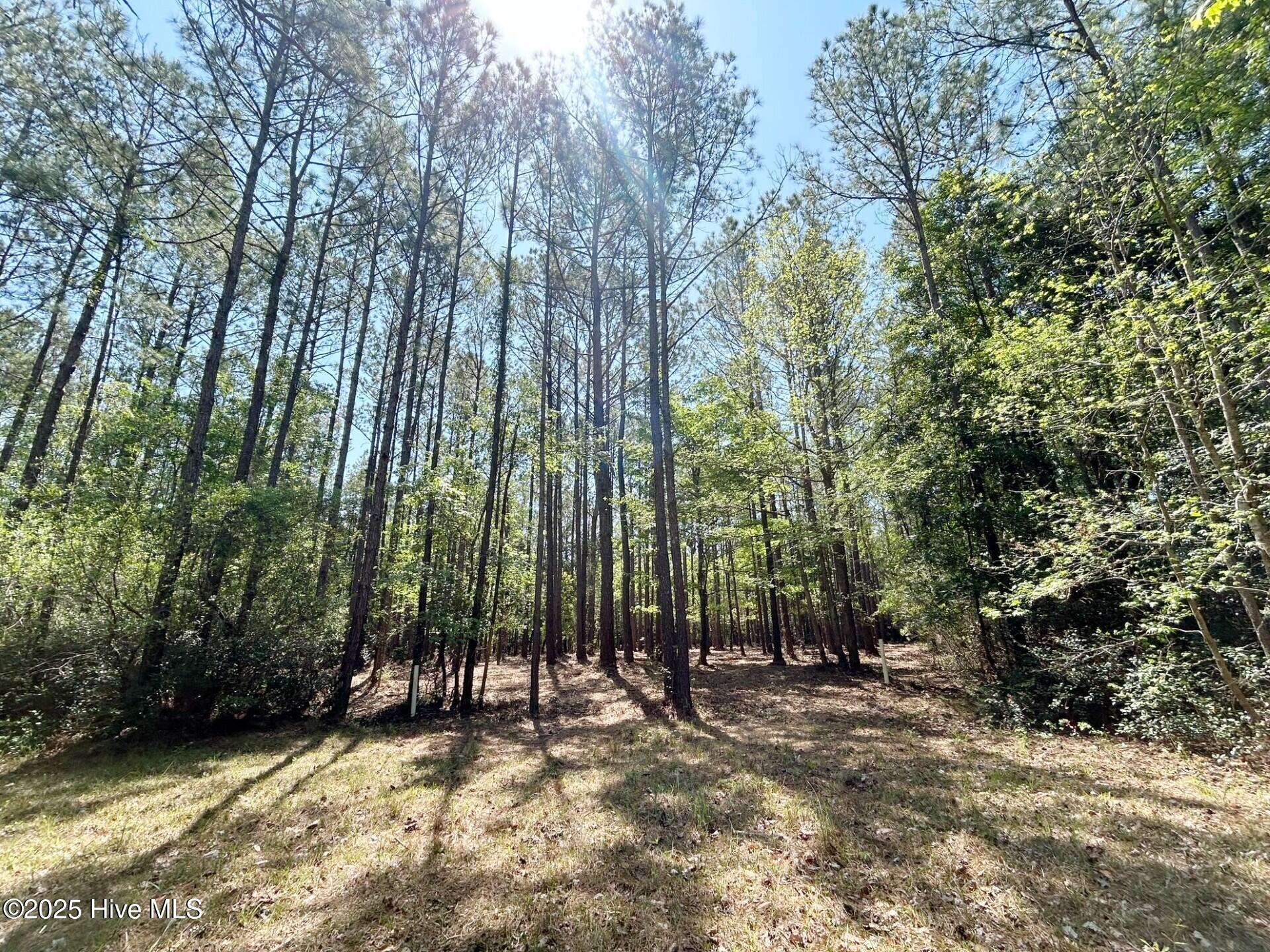 Homes for sale in Minnesott Beach, NC | 379 Mill Creek Dr, Minnesott Beach, NC 28510 | MLS# 100481716