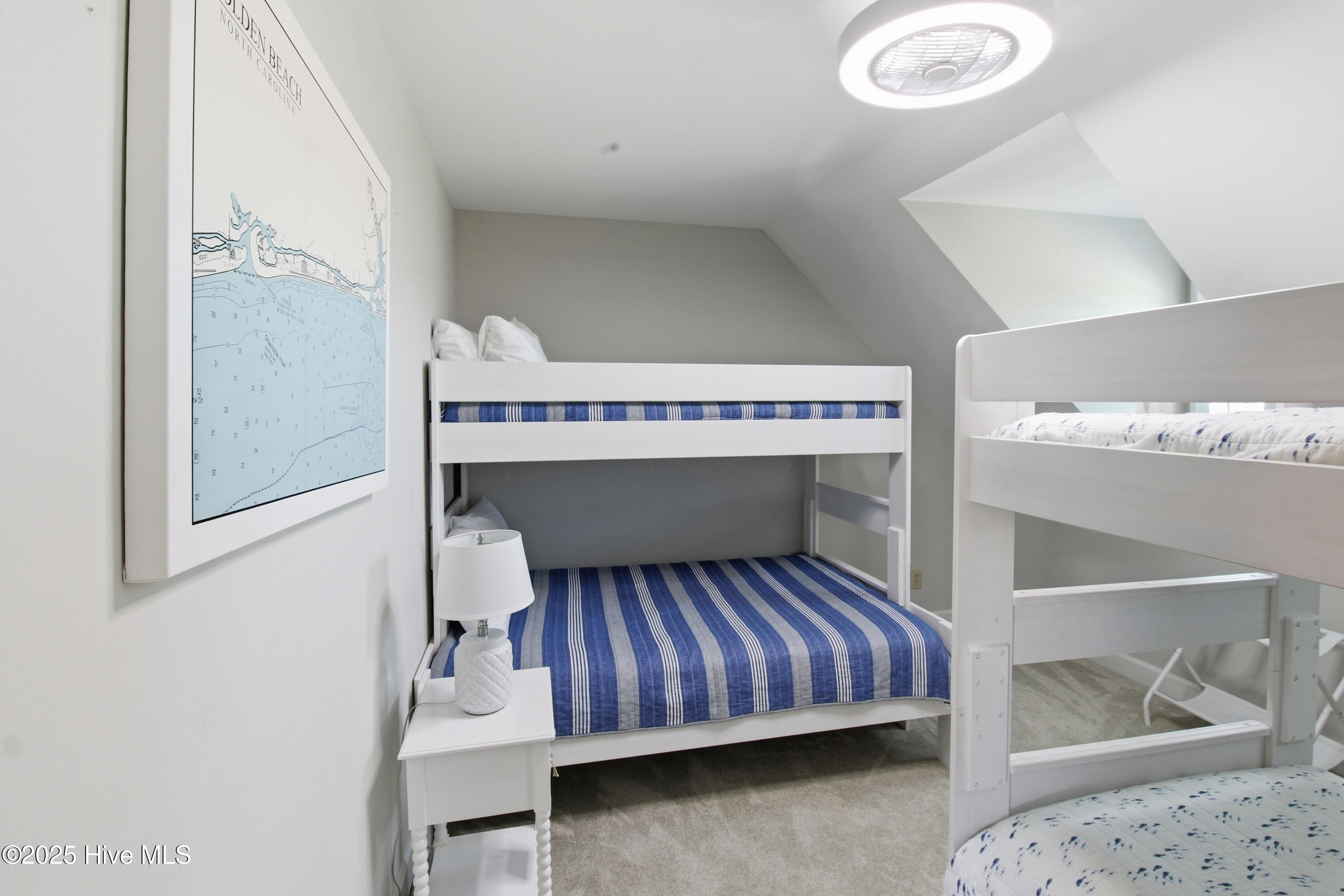 100557076 | Photo 10