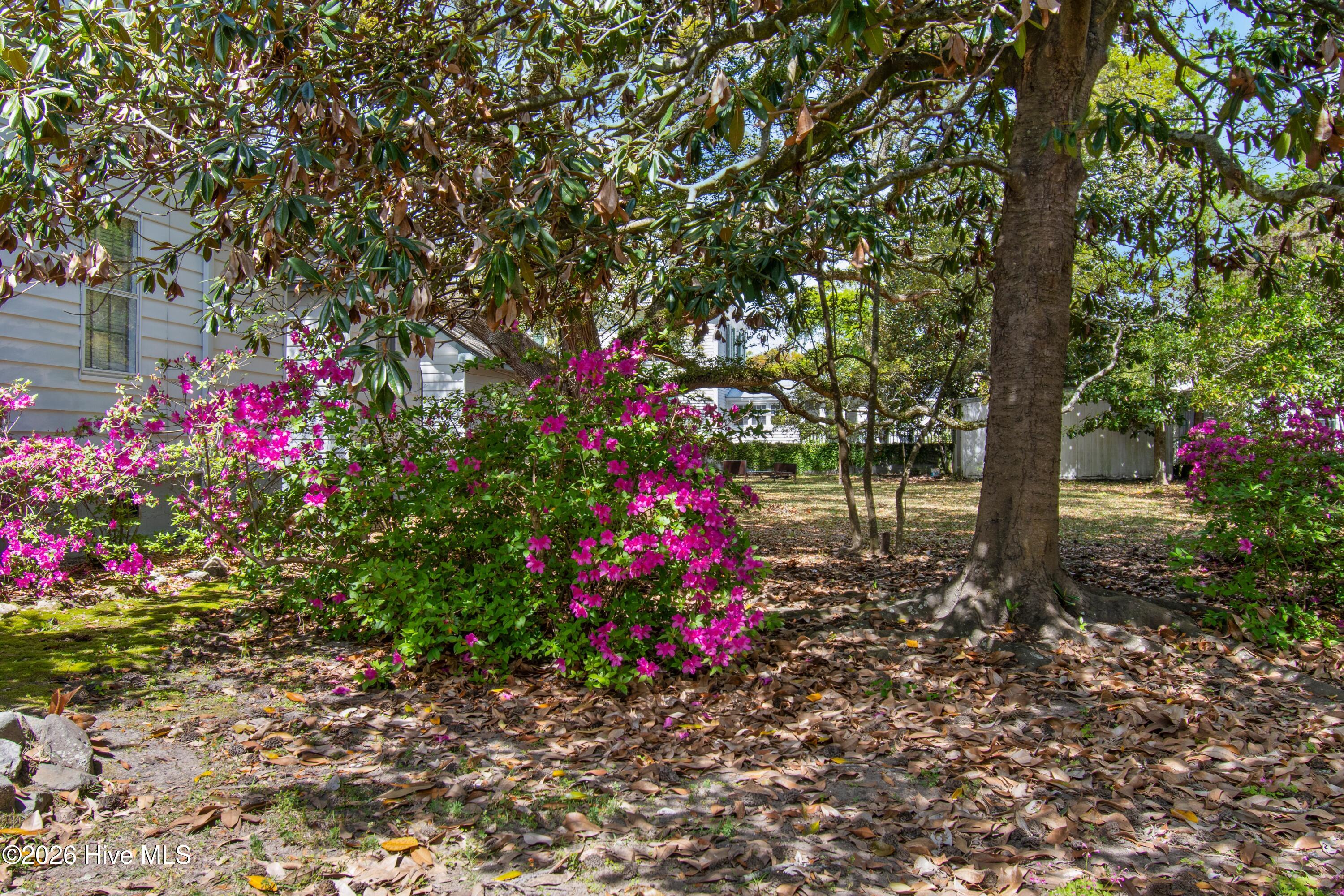 100566206 | Photo 65