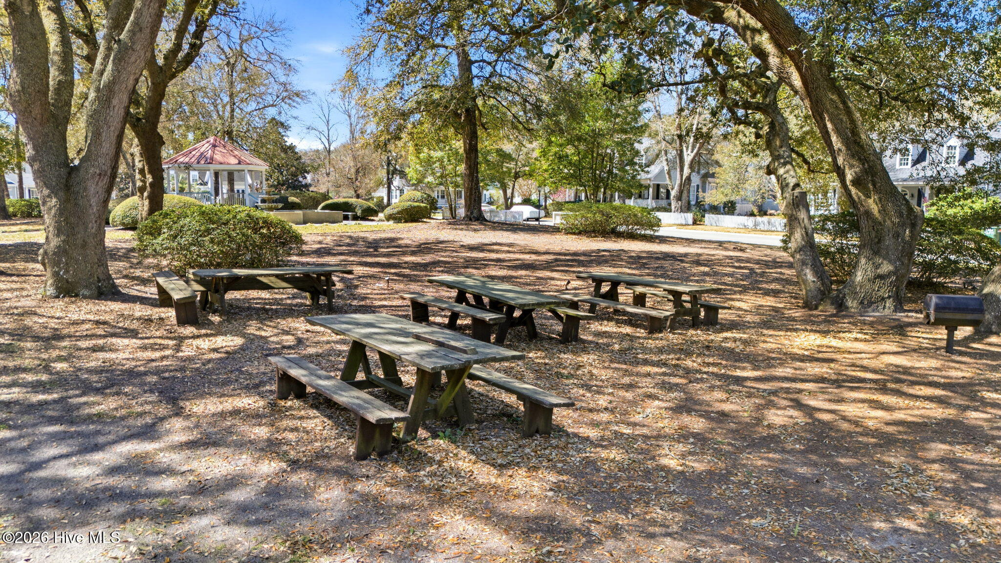 100562076 | Photo 56