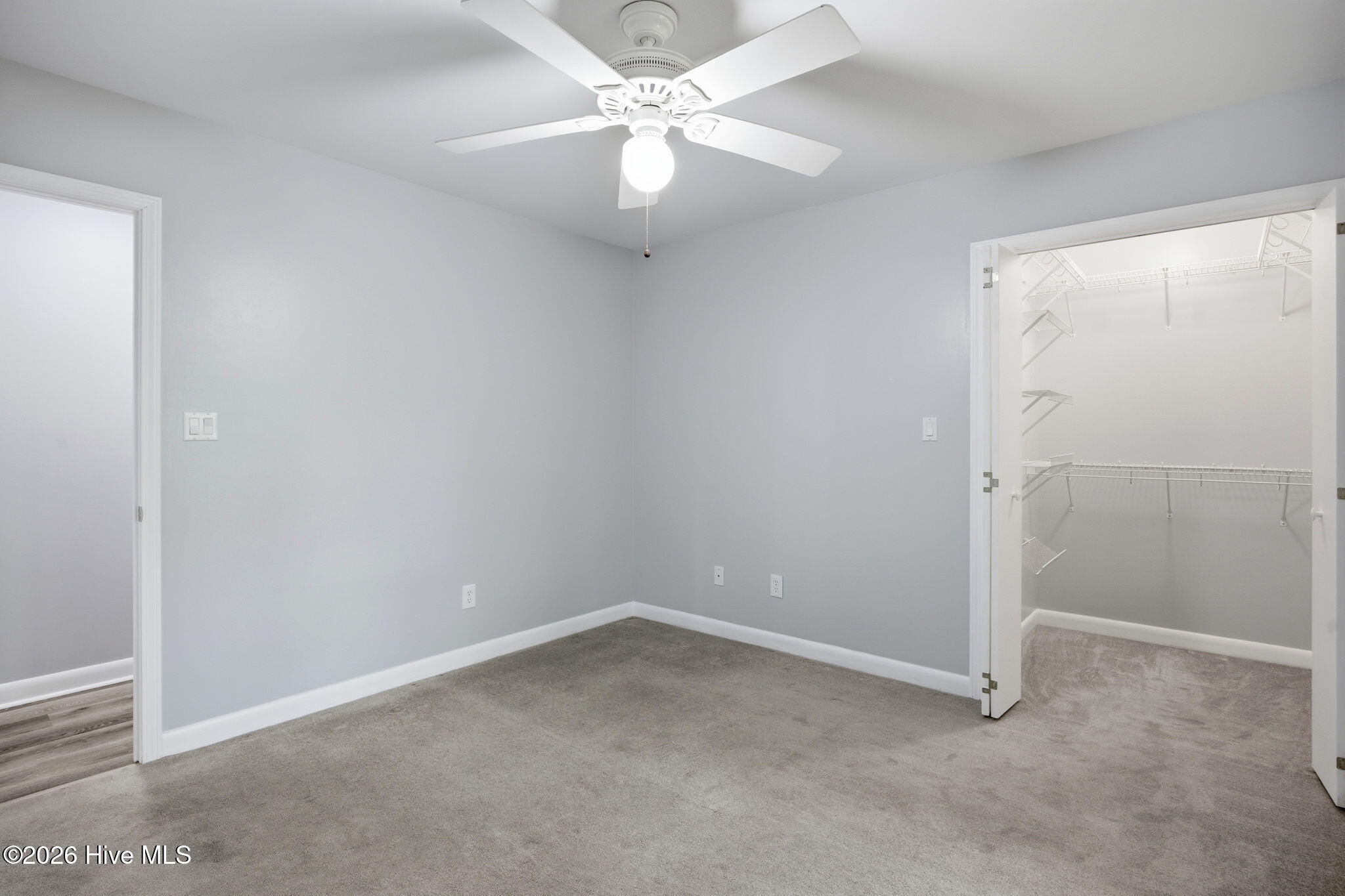 100569469 | Photo 38