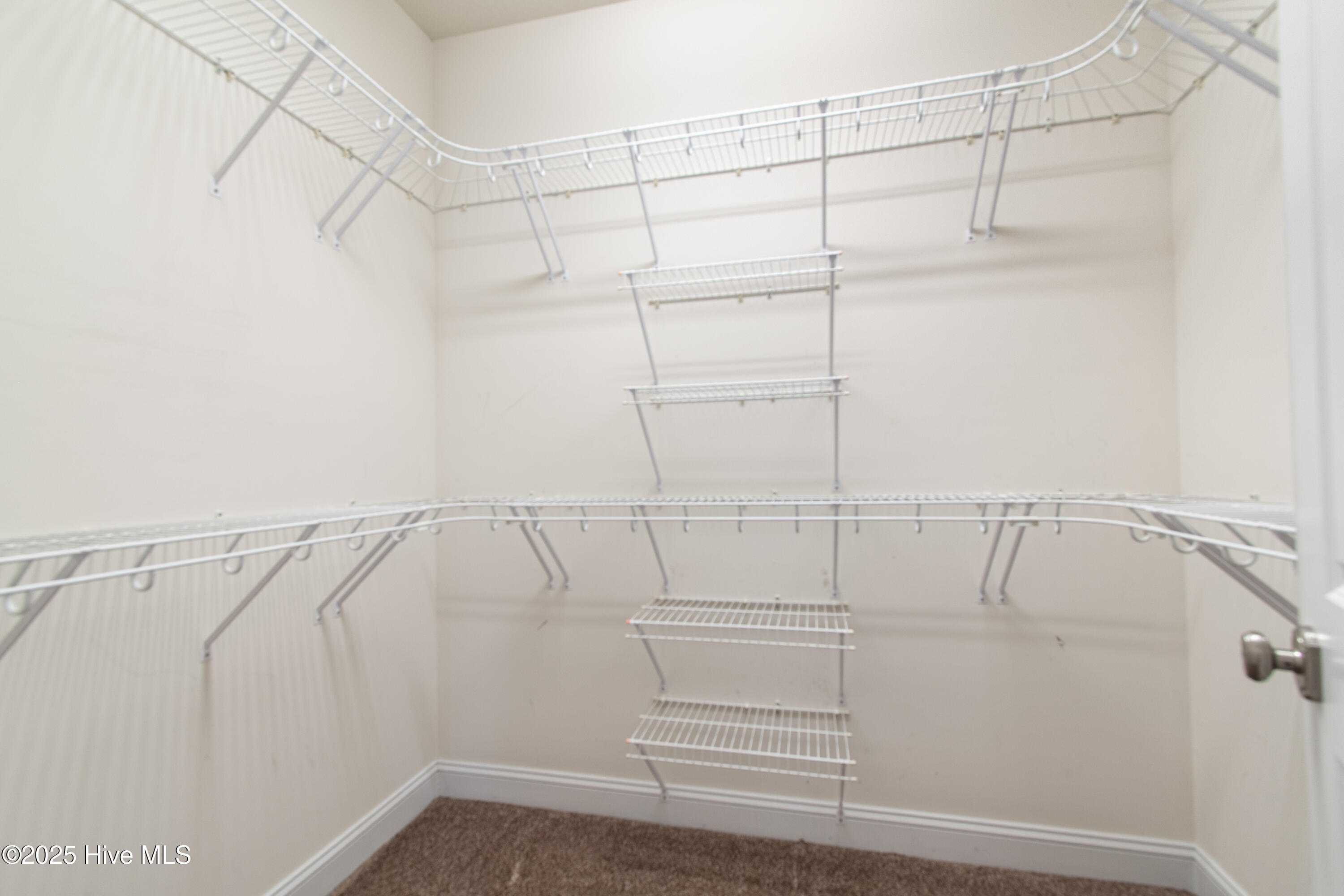 100532491 | Photo 26