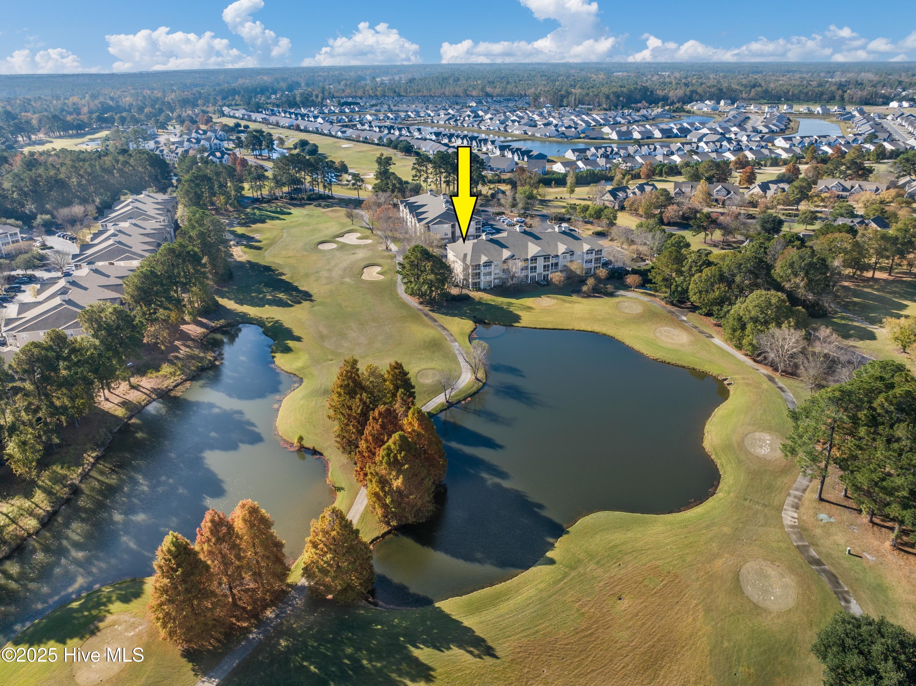 100542495 | Photo 31