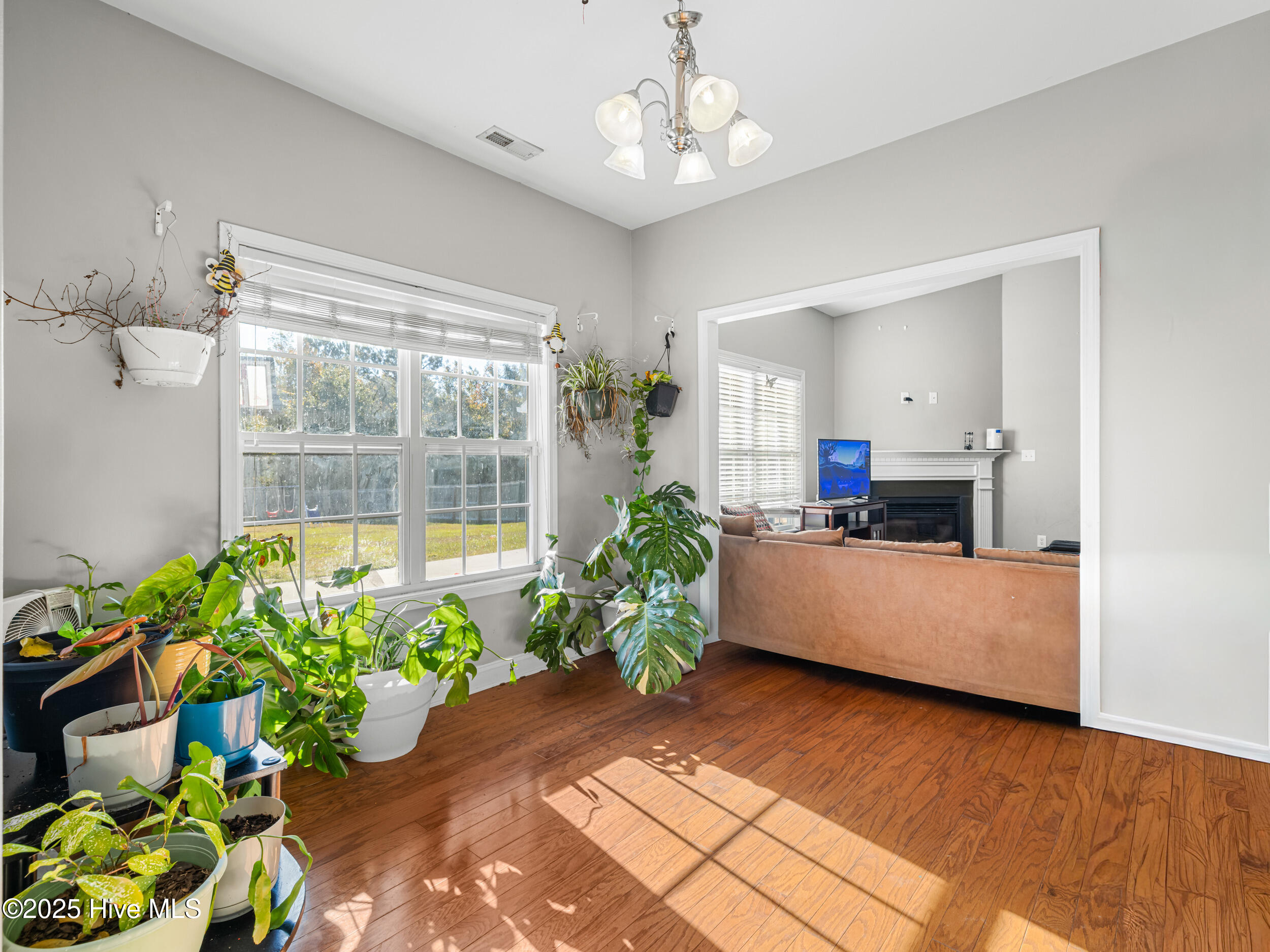 100536146 | Photo 15