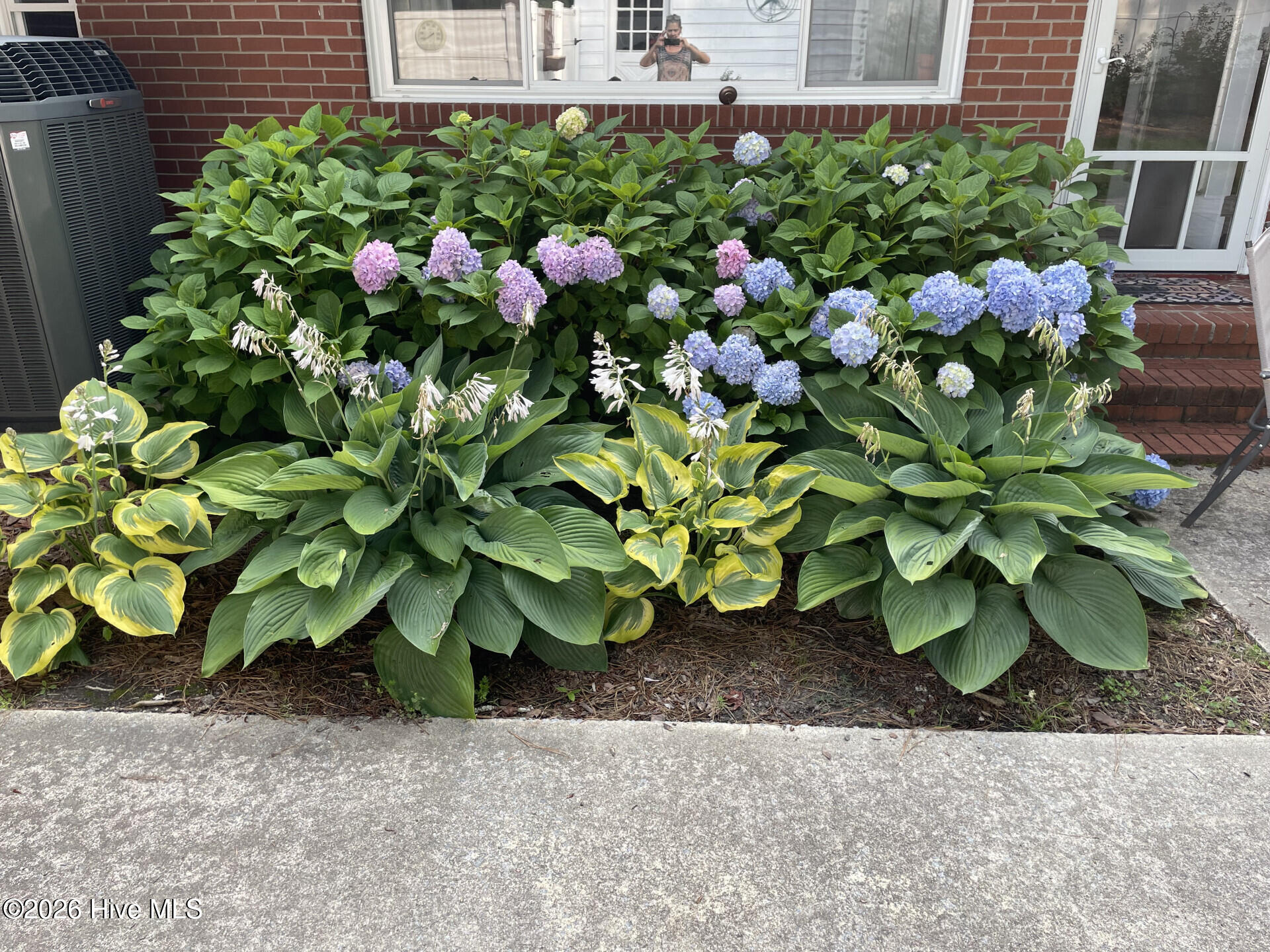 302 Oak Drive, Washington, NC, 27889