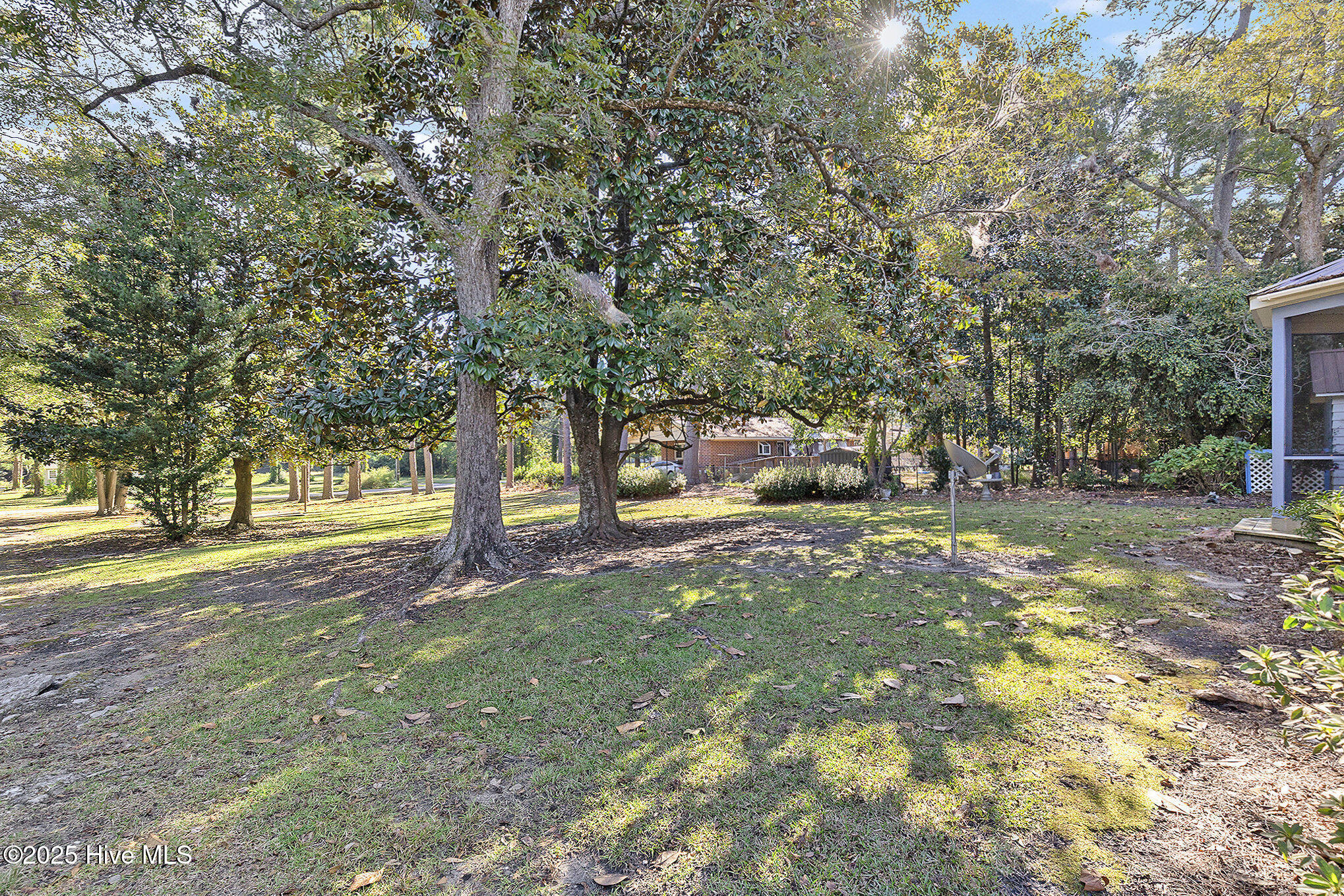 100537209 | Photo 42