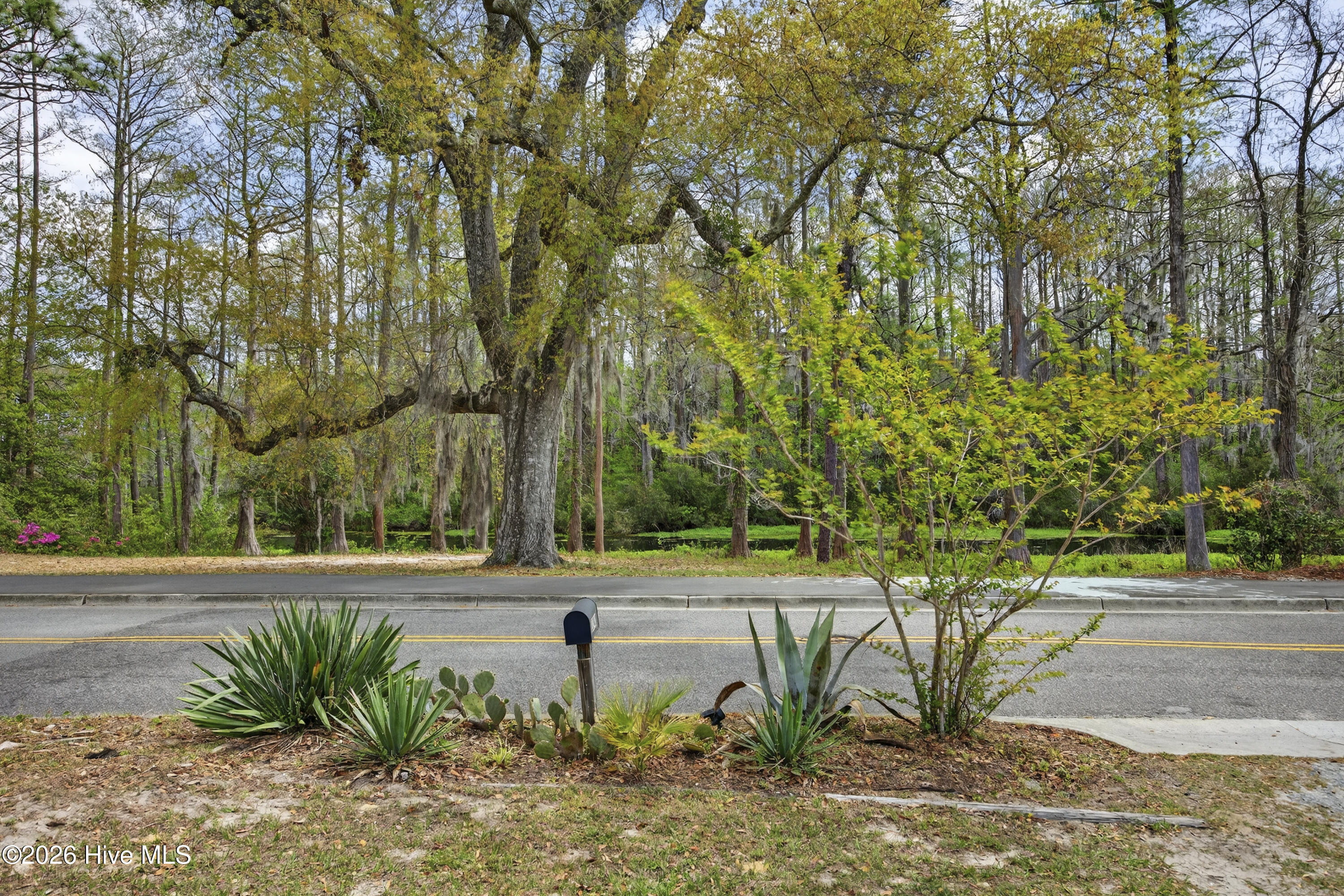 100564526 | Photo 48