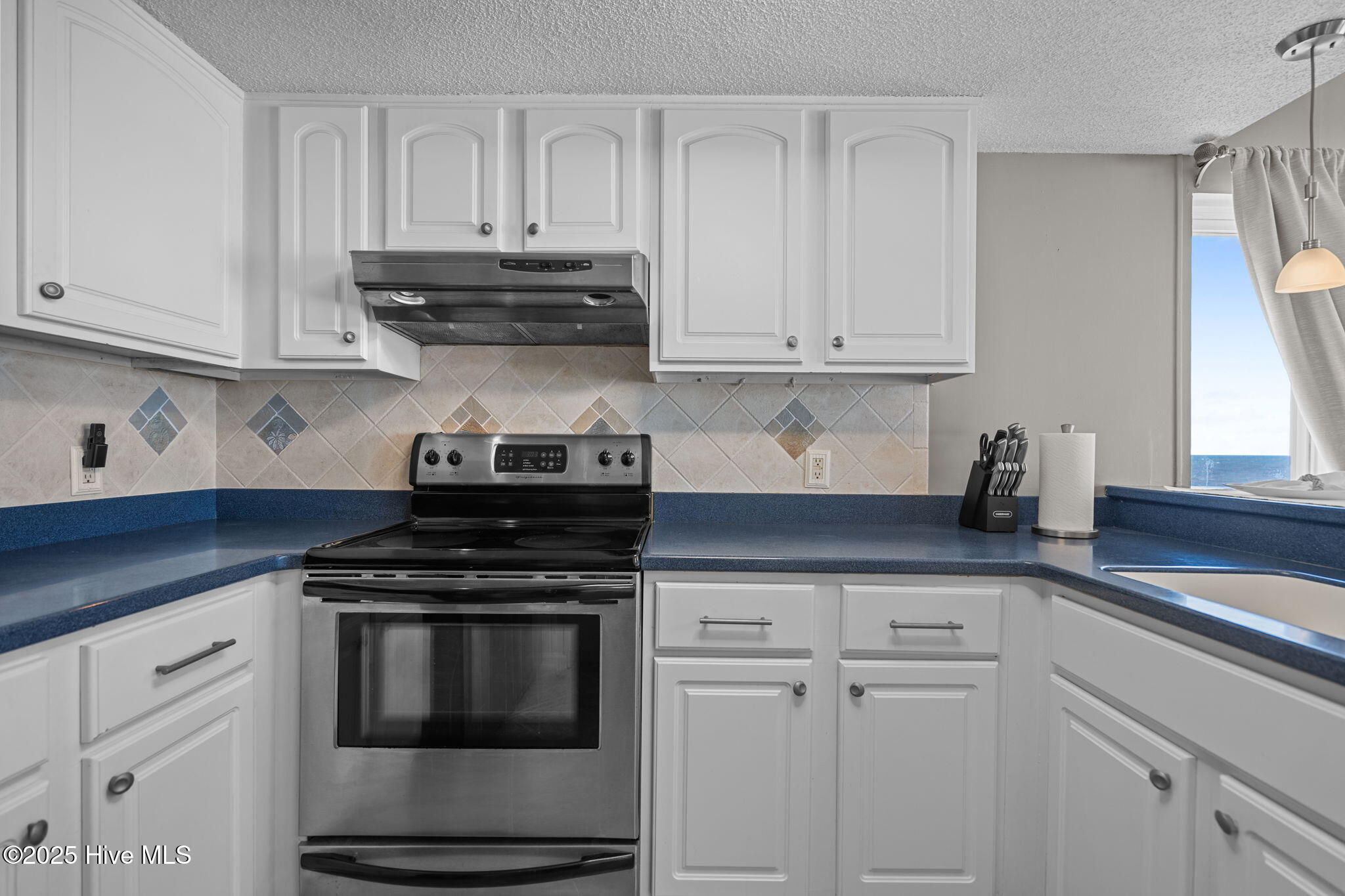 1518 Carolina Beach Avenue N D9, Carolina Beach, NC 28428 – photo 15: kitchen 4