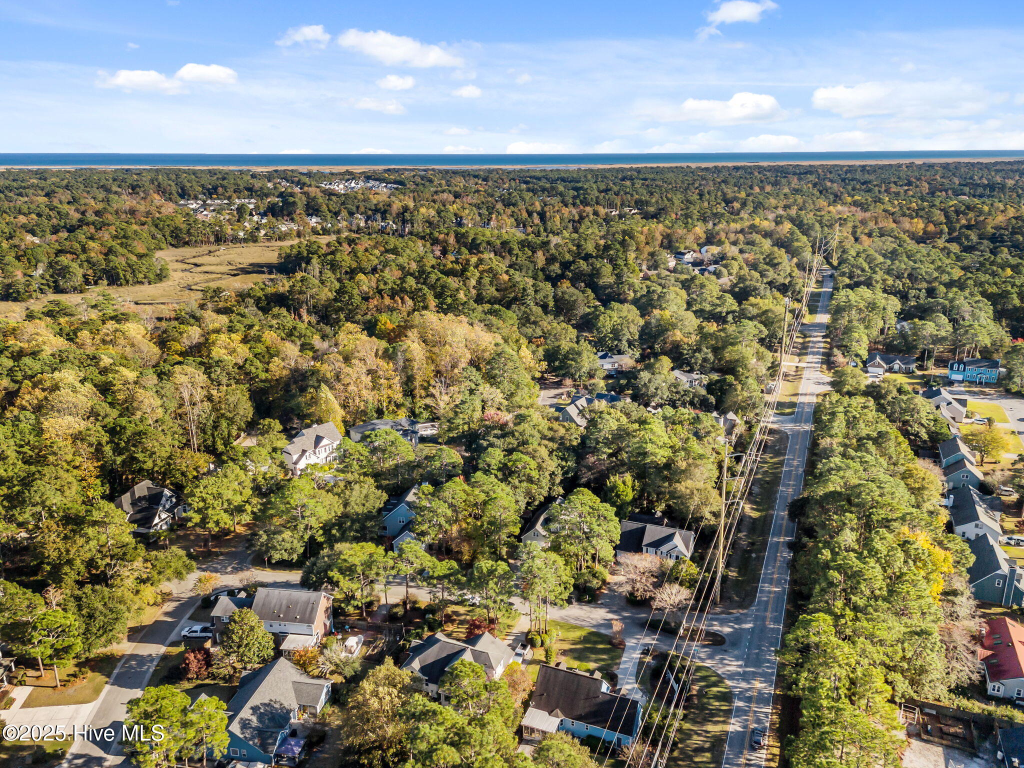 100539948 | Photo 54