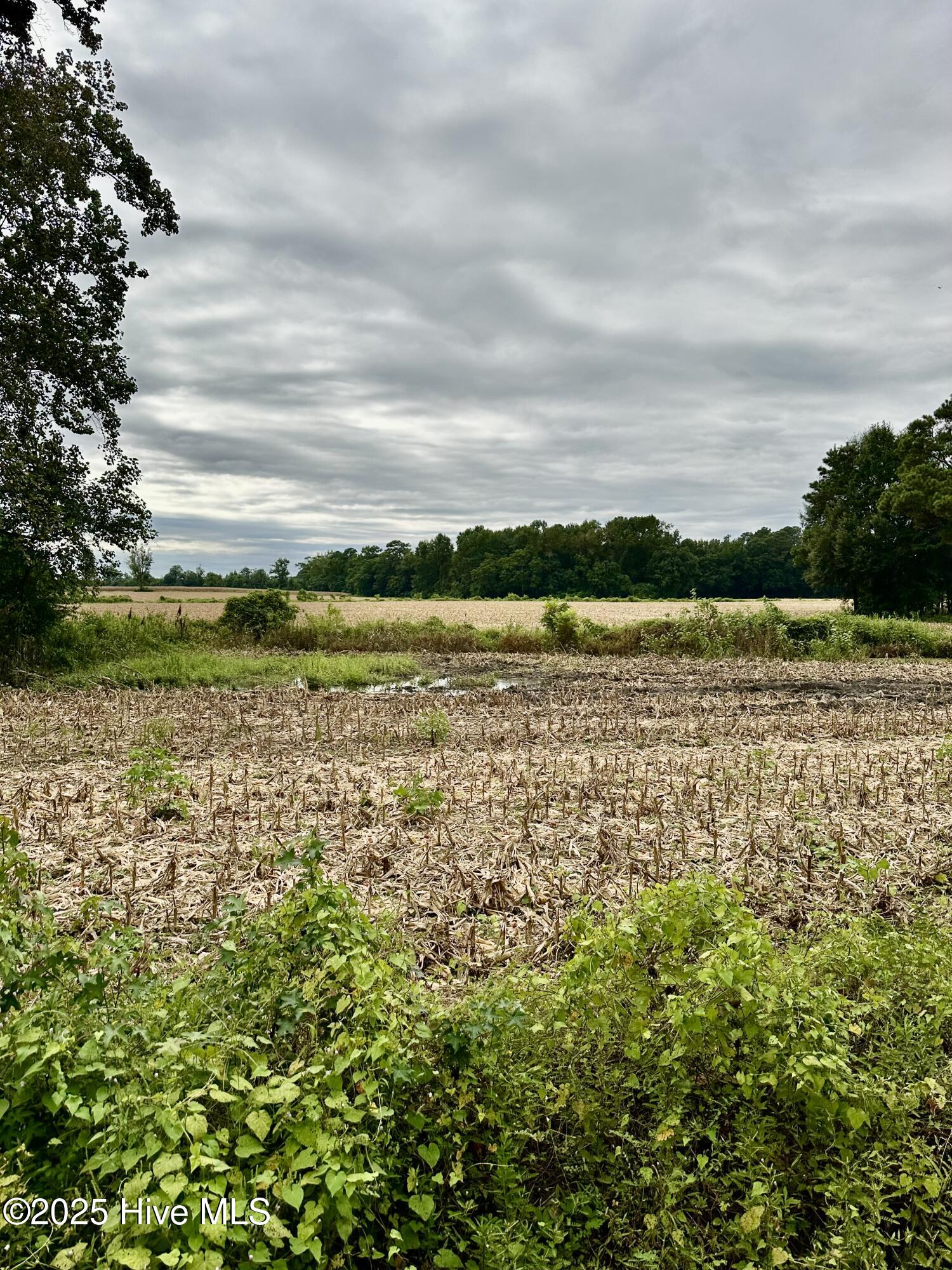 146 Cherry Street, Cerro Gordo, NC, 28430