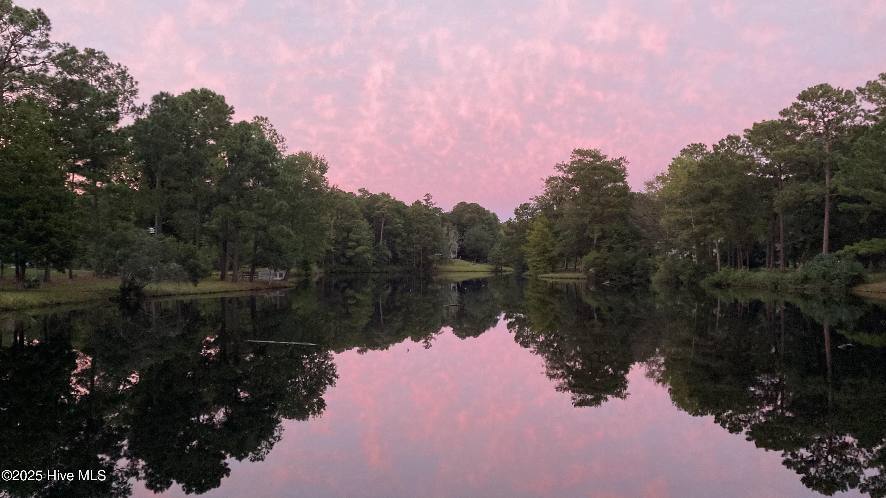 100536639 | Photo 85