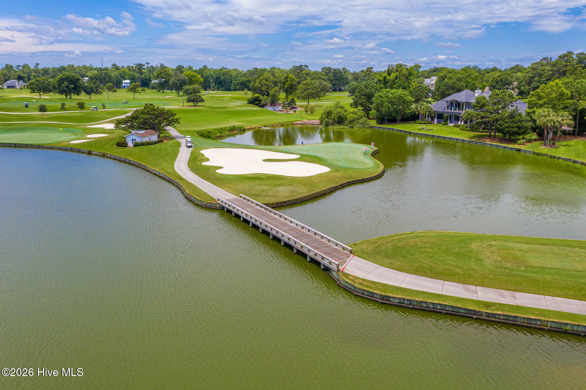 100559704 | Photo 40