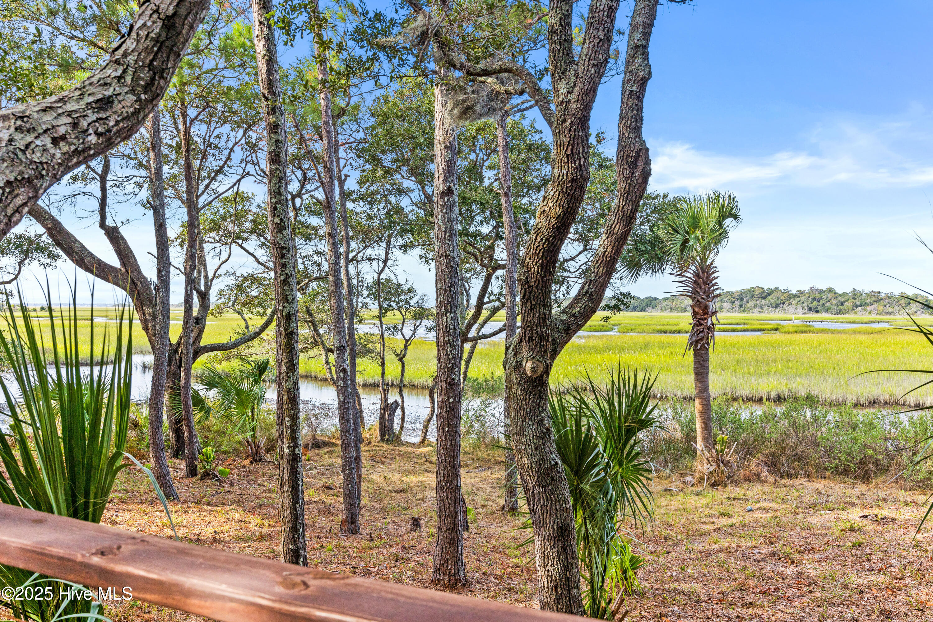 100531454 | Photo 76