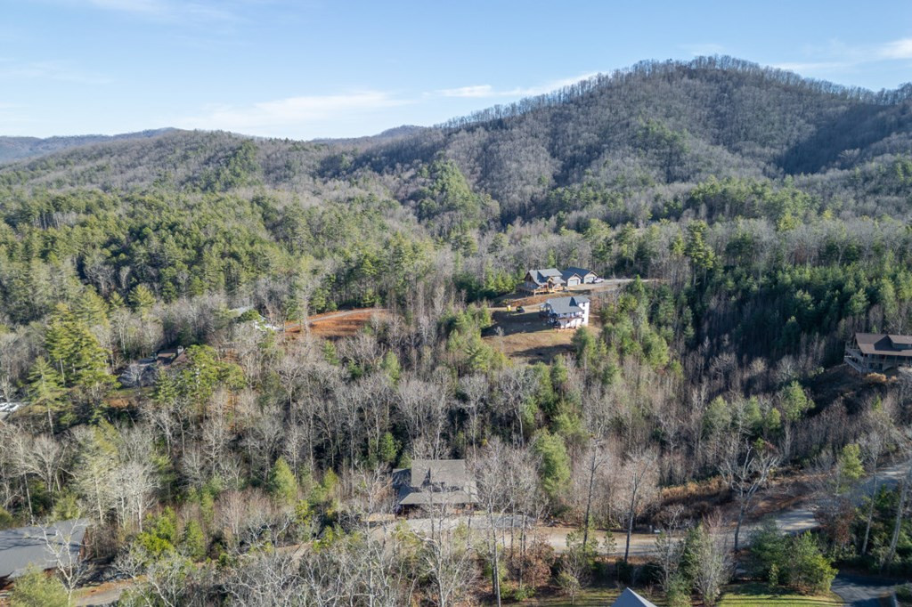 455 Point Overlook Trail, Murphy, NC 28906 Listing Photo  54