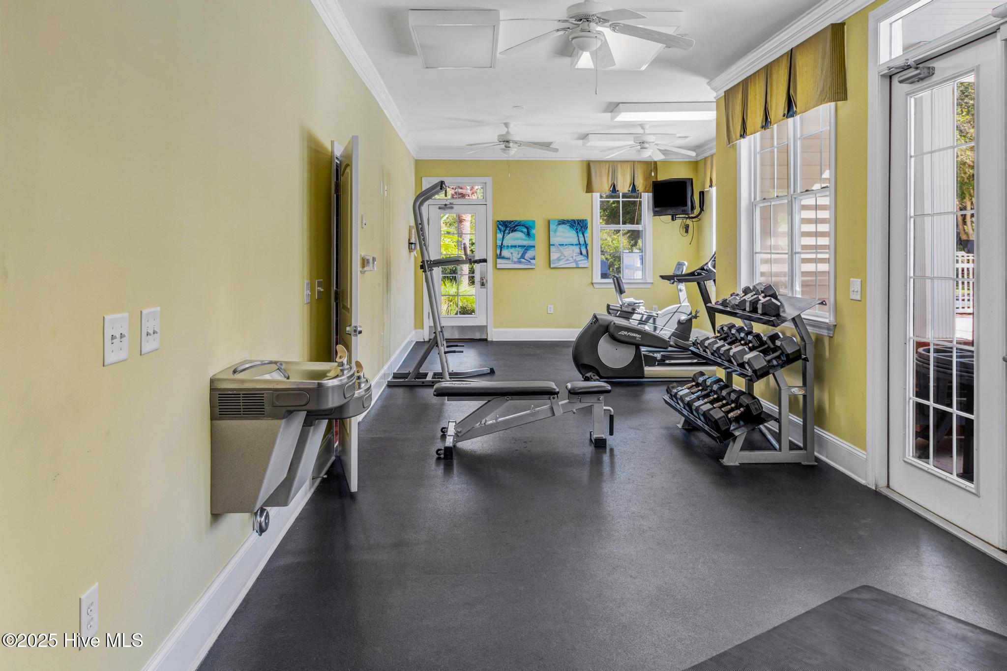 100534929 | Photo 67