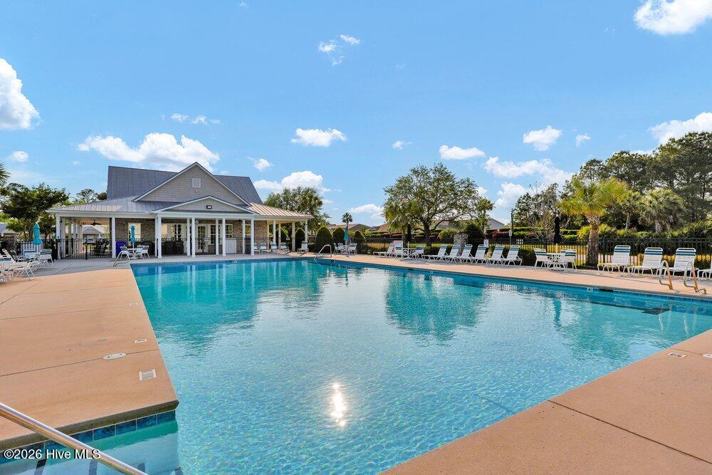 100568146 | Photo 34