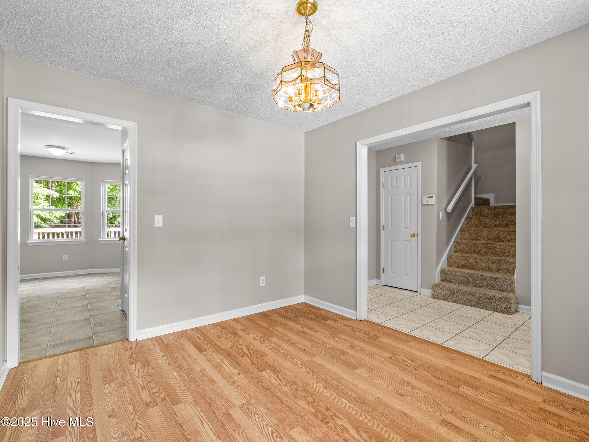 100554828 | Photo 11