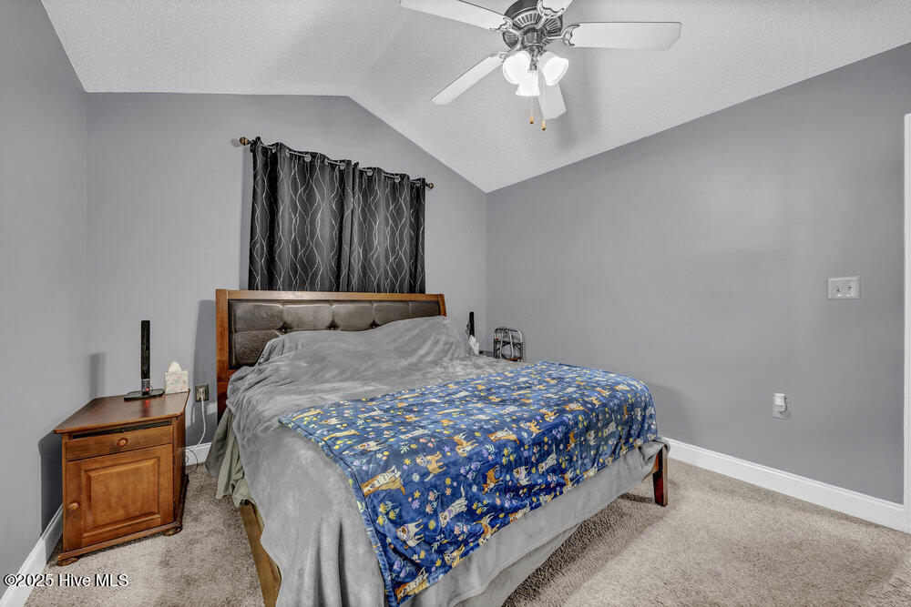 100537257 | Photo 13