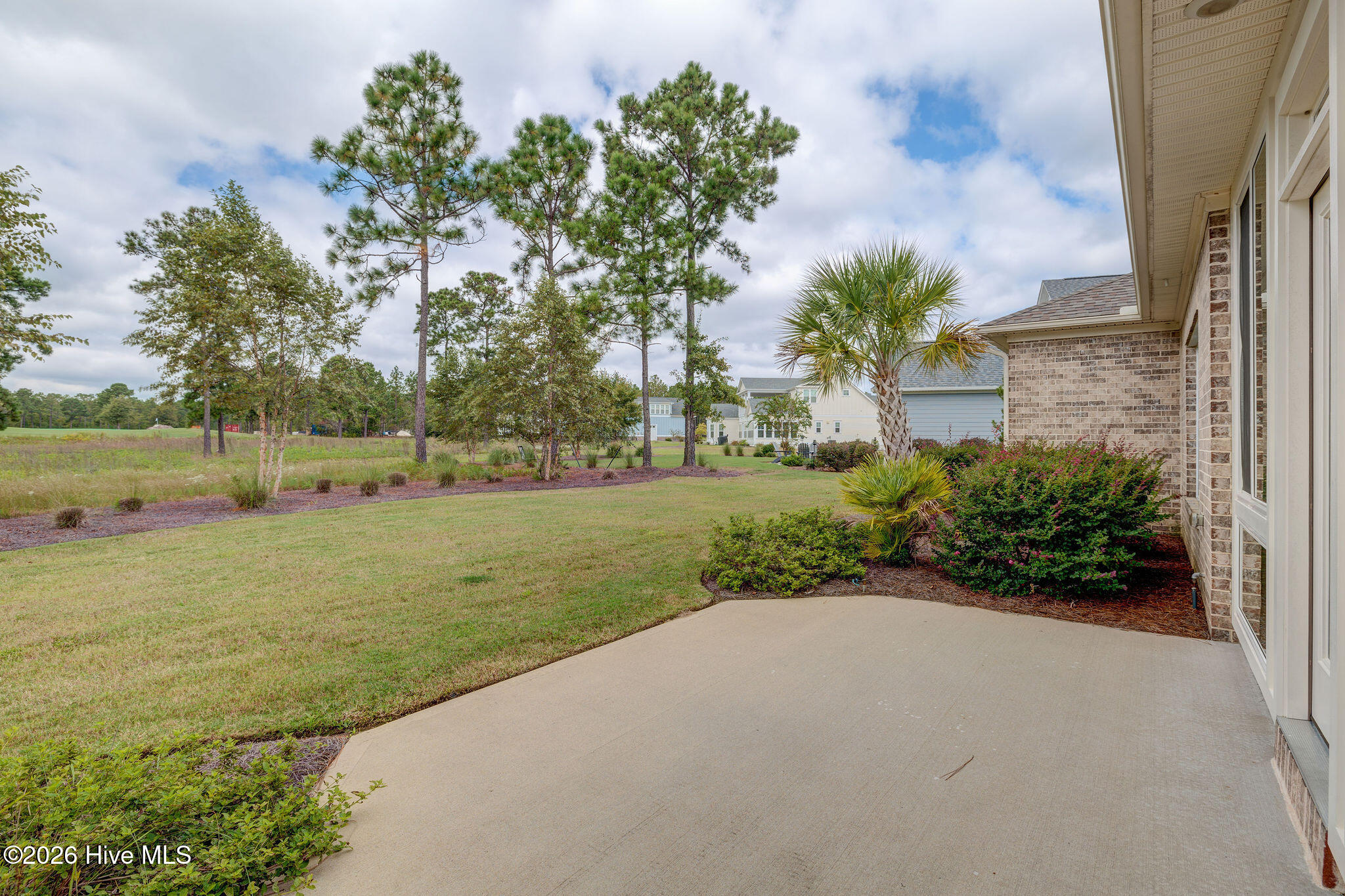 100558232 | Photo 46