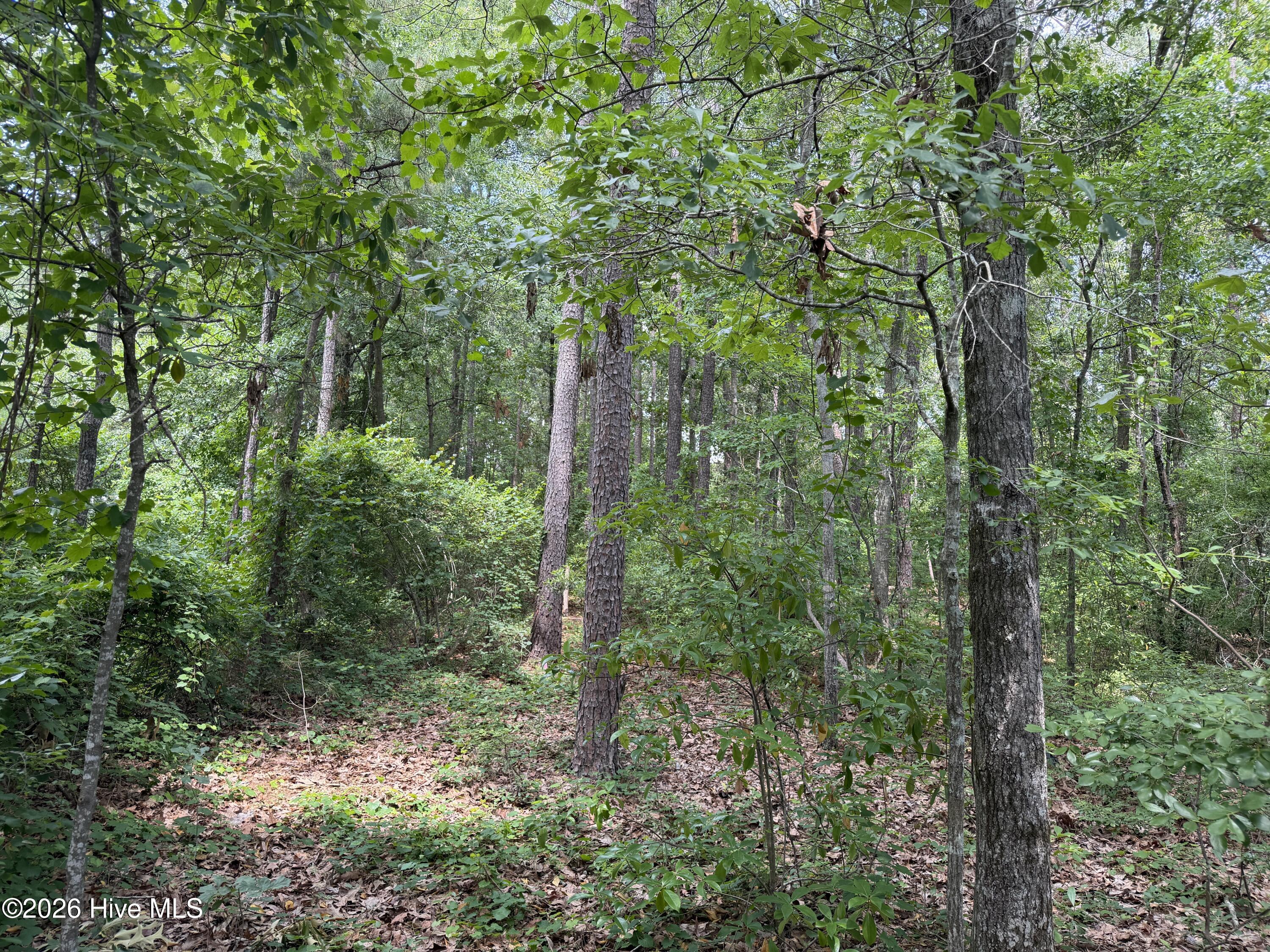 118 66 Ferret Run Lane,New Bern