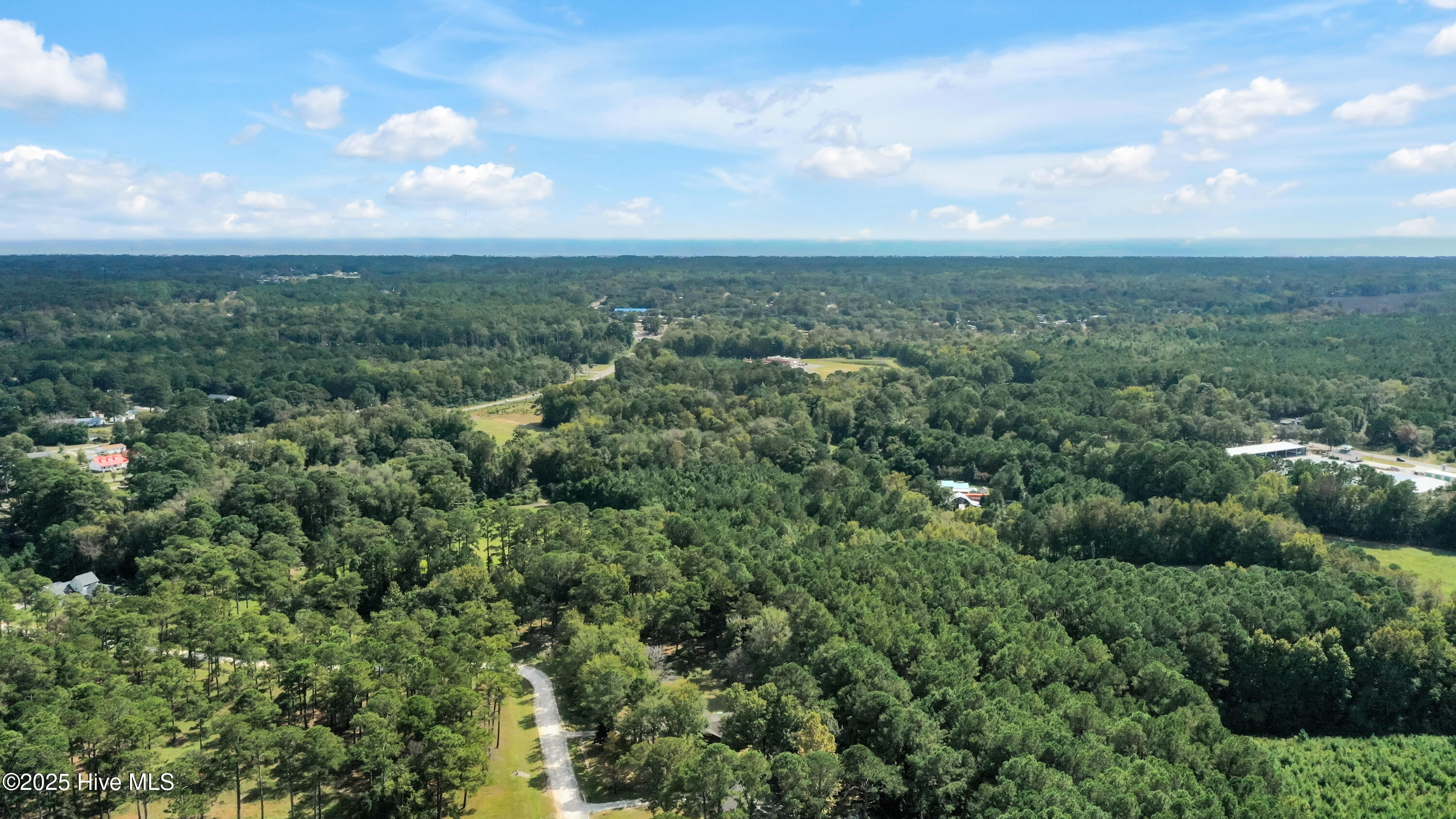 100538447 | Photo 44