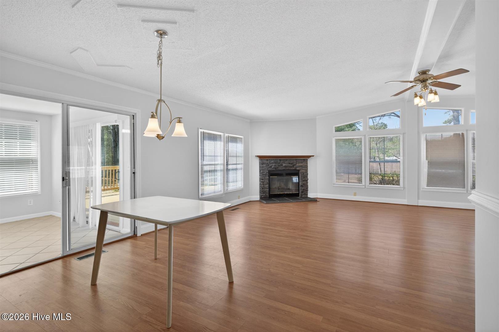 100558434 | Photo 13