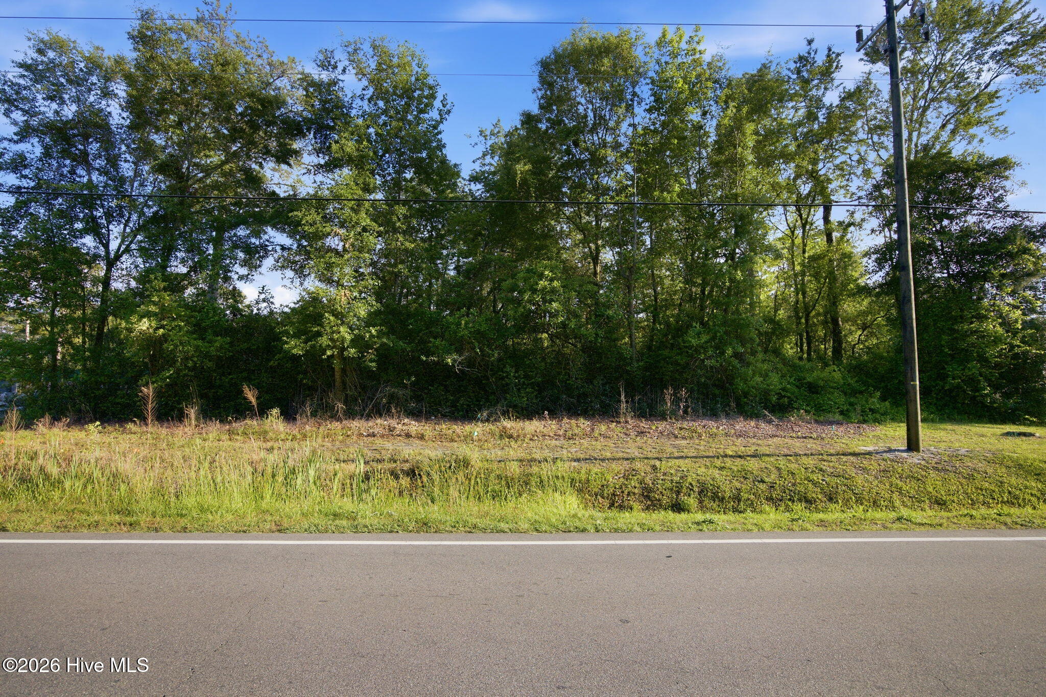 100570838 | Photo 3