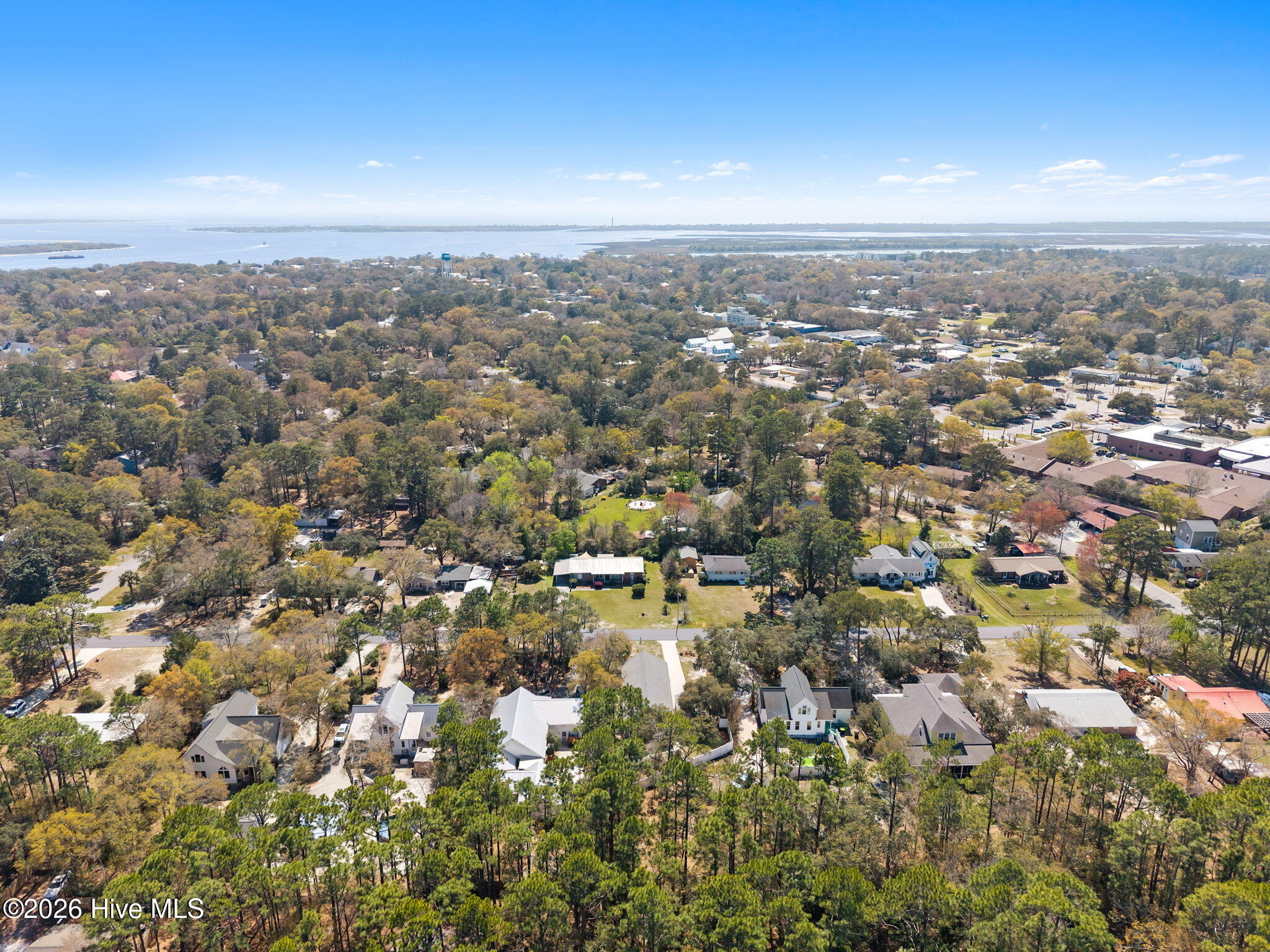 100545035 | Photo 50