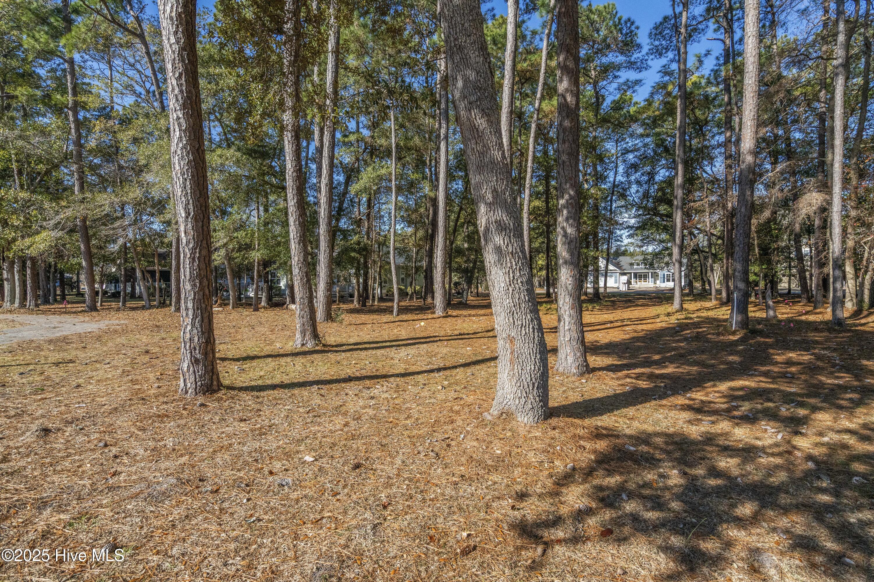 100545337 | Photo 10