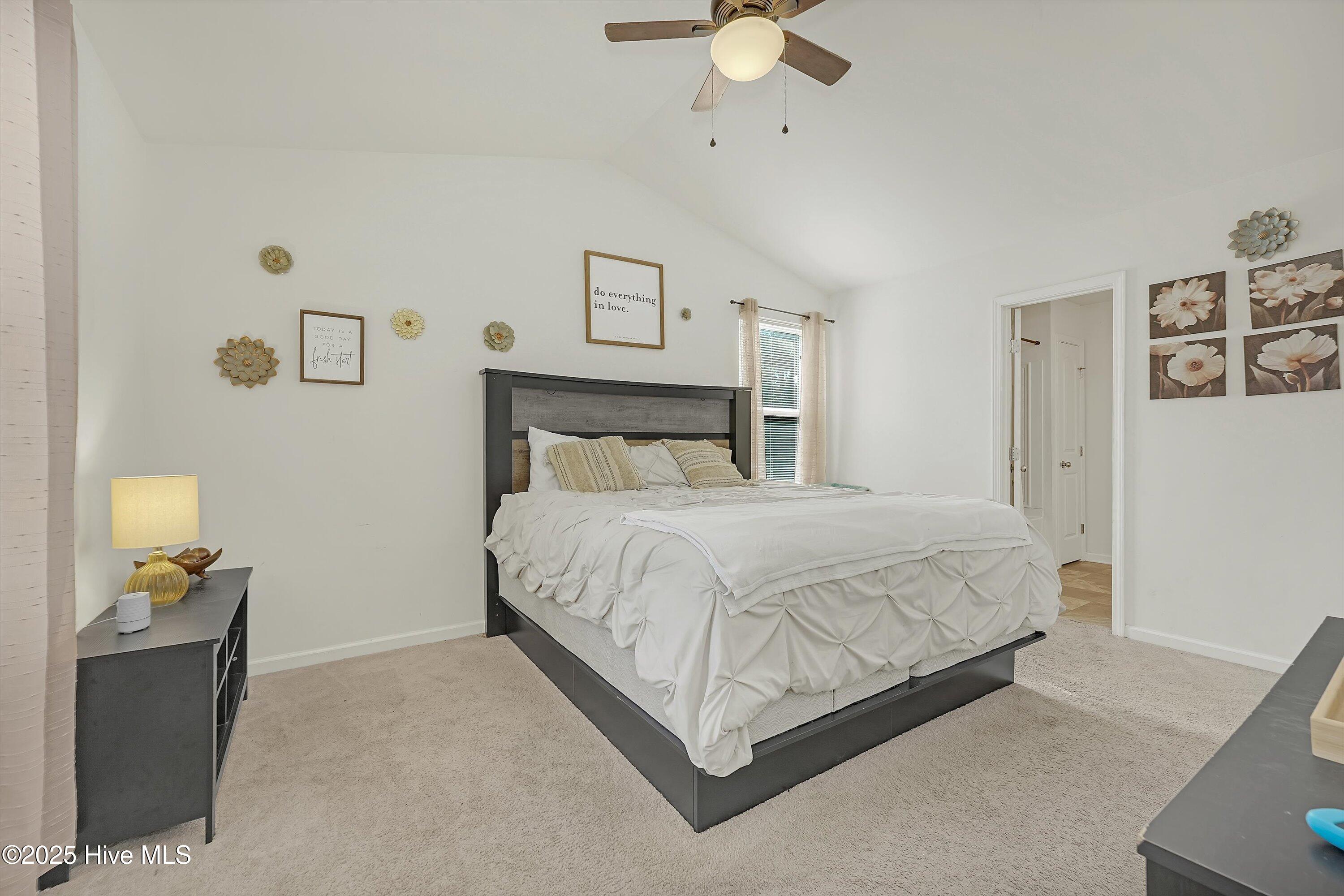 100532603 | Photo 11