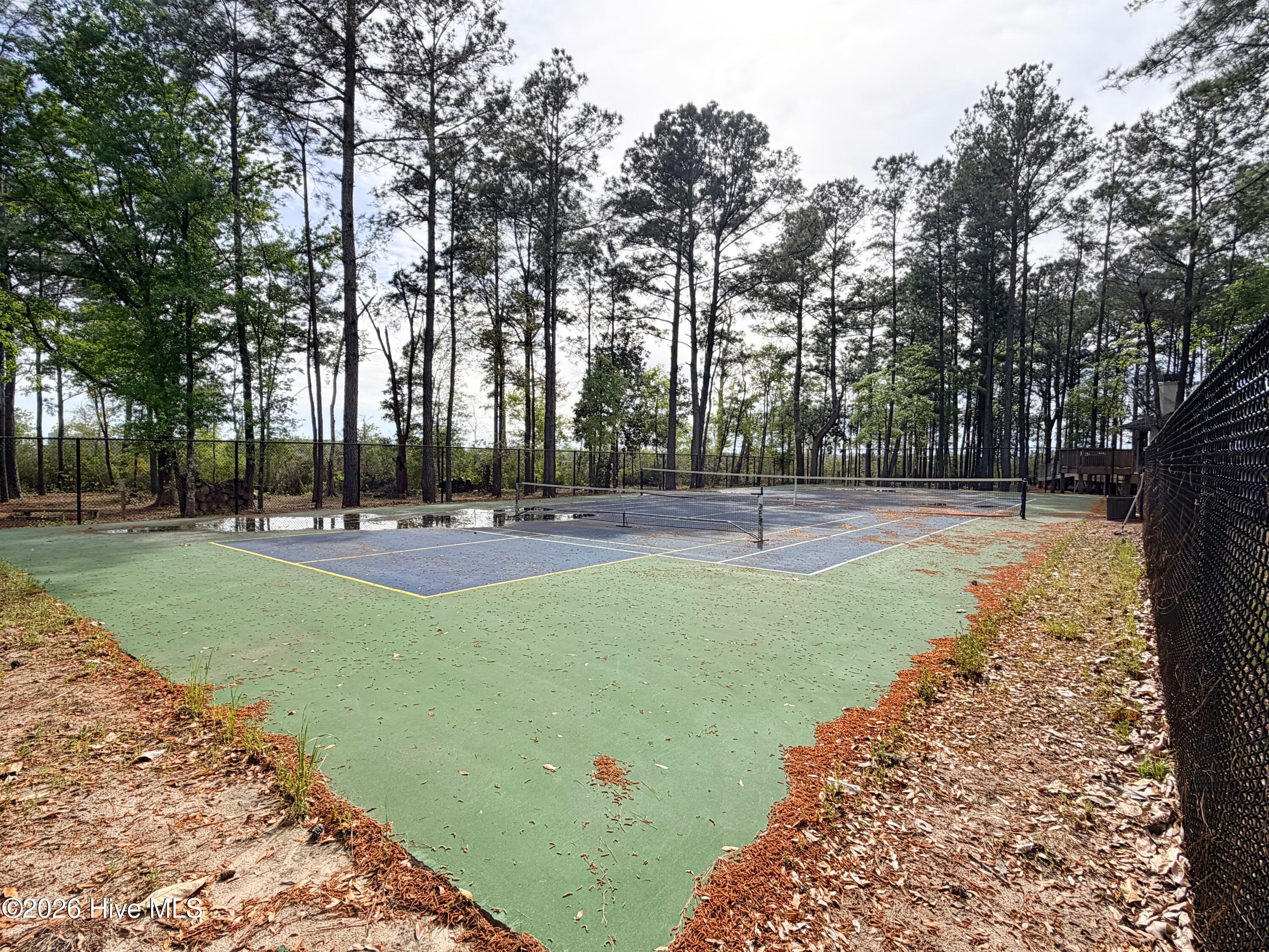 100565656 | Photo 66