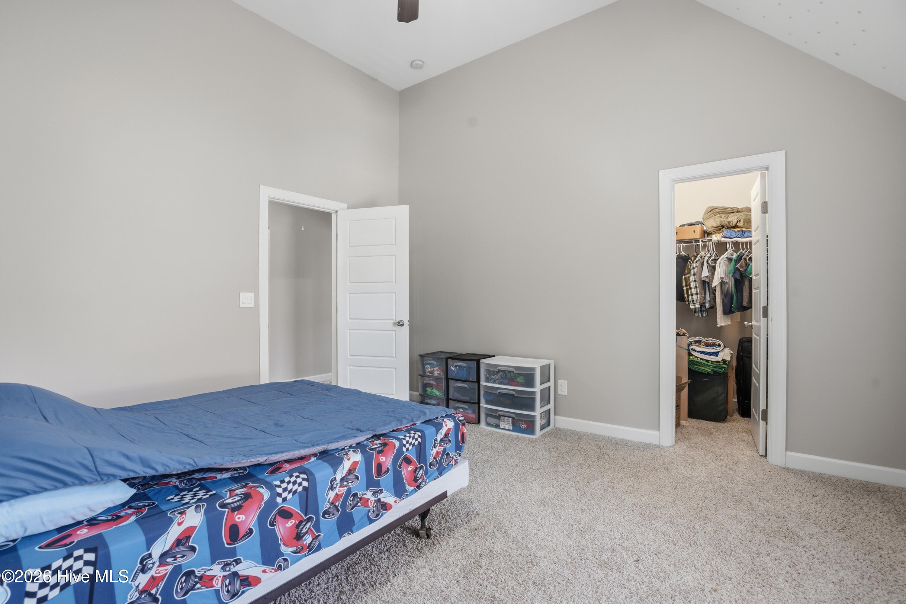 100564087 | Photo 36