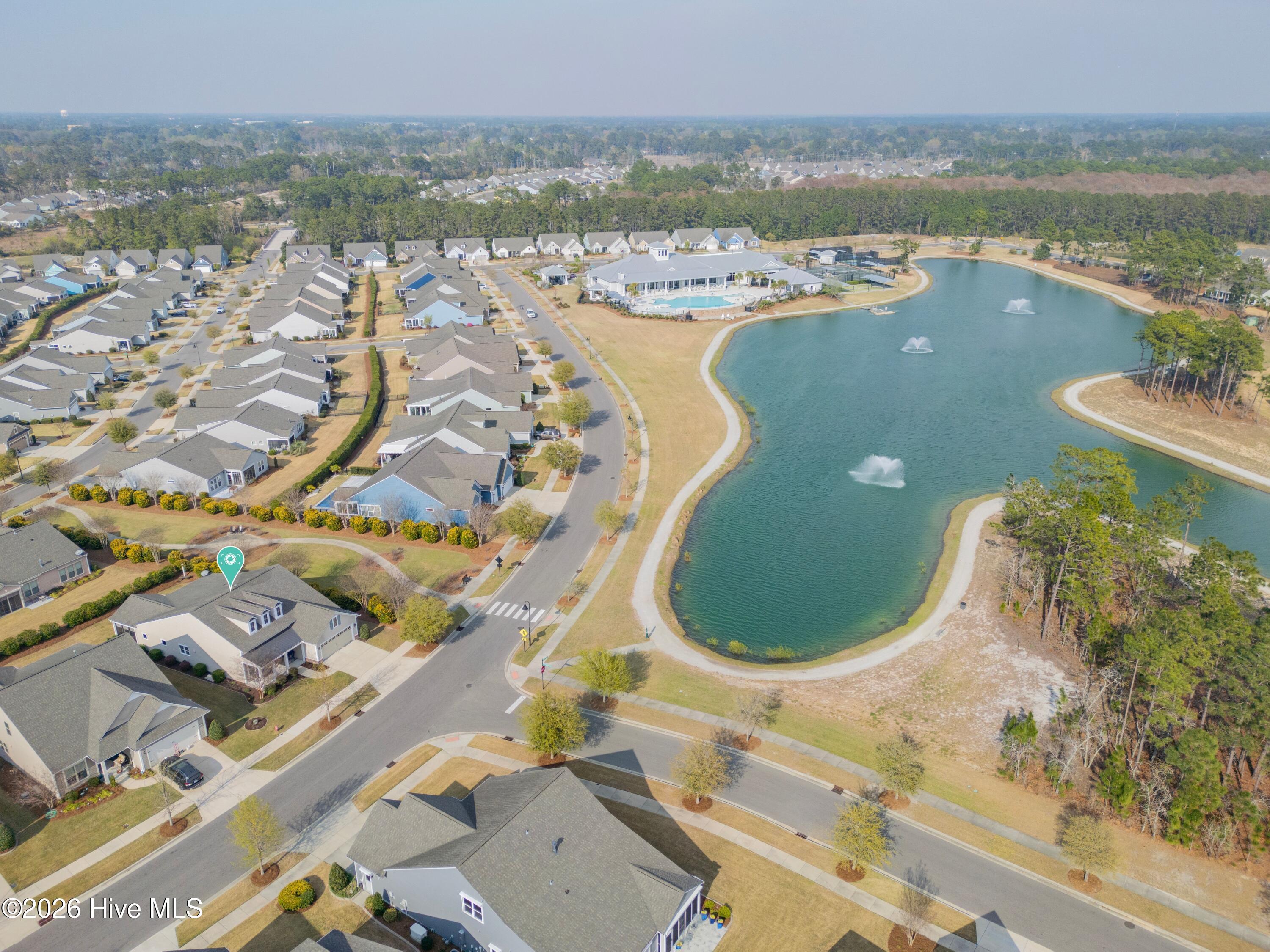 100562061 | Photo 30