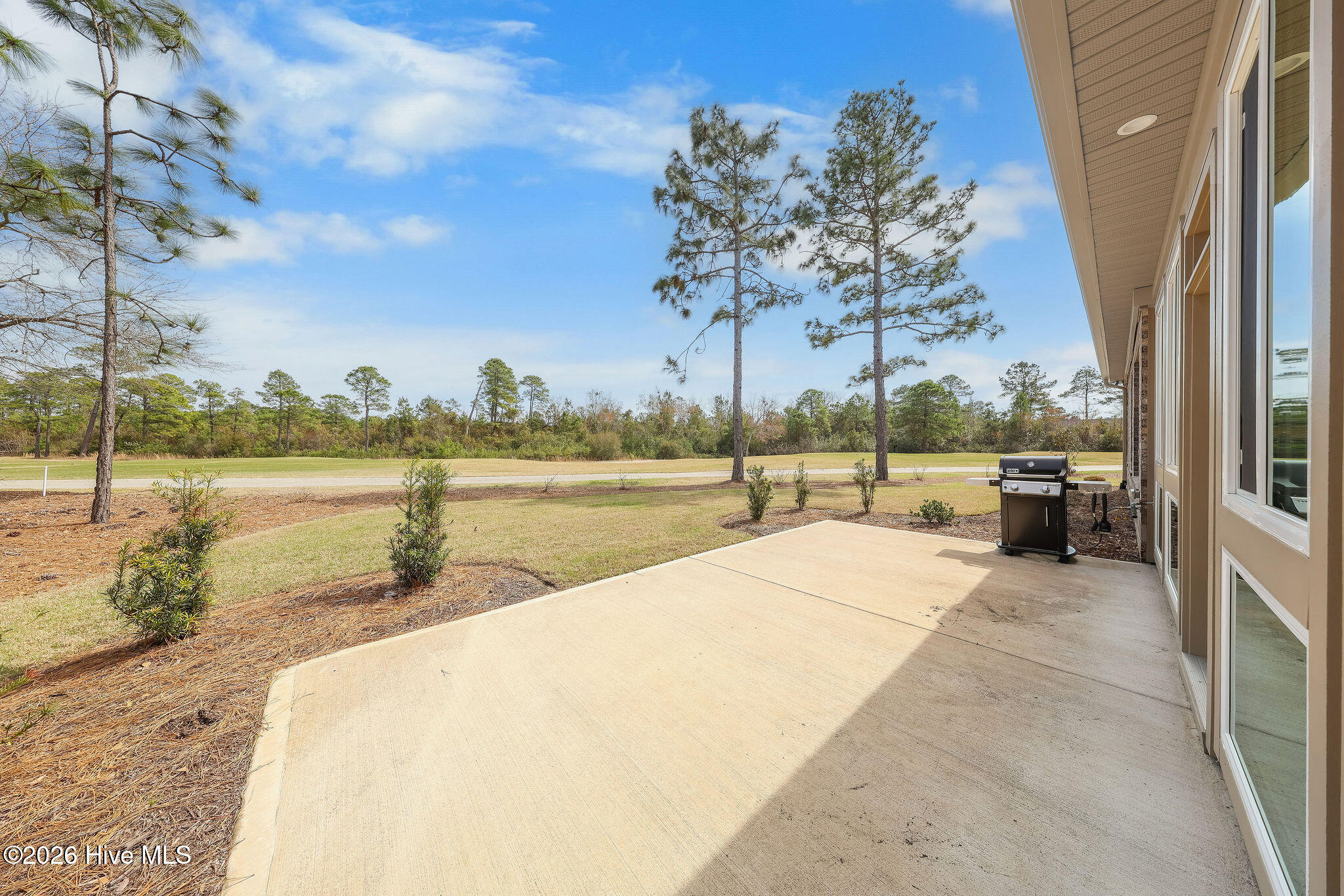 100564849 | Photo 19