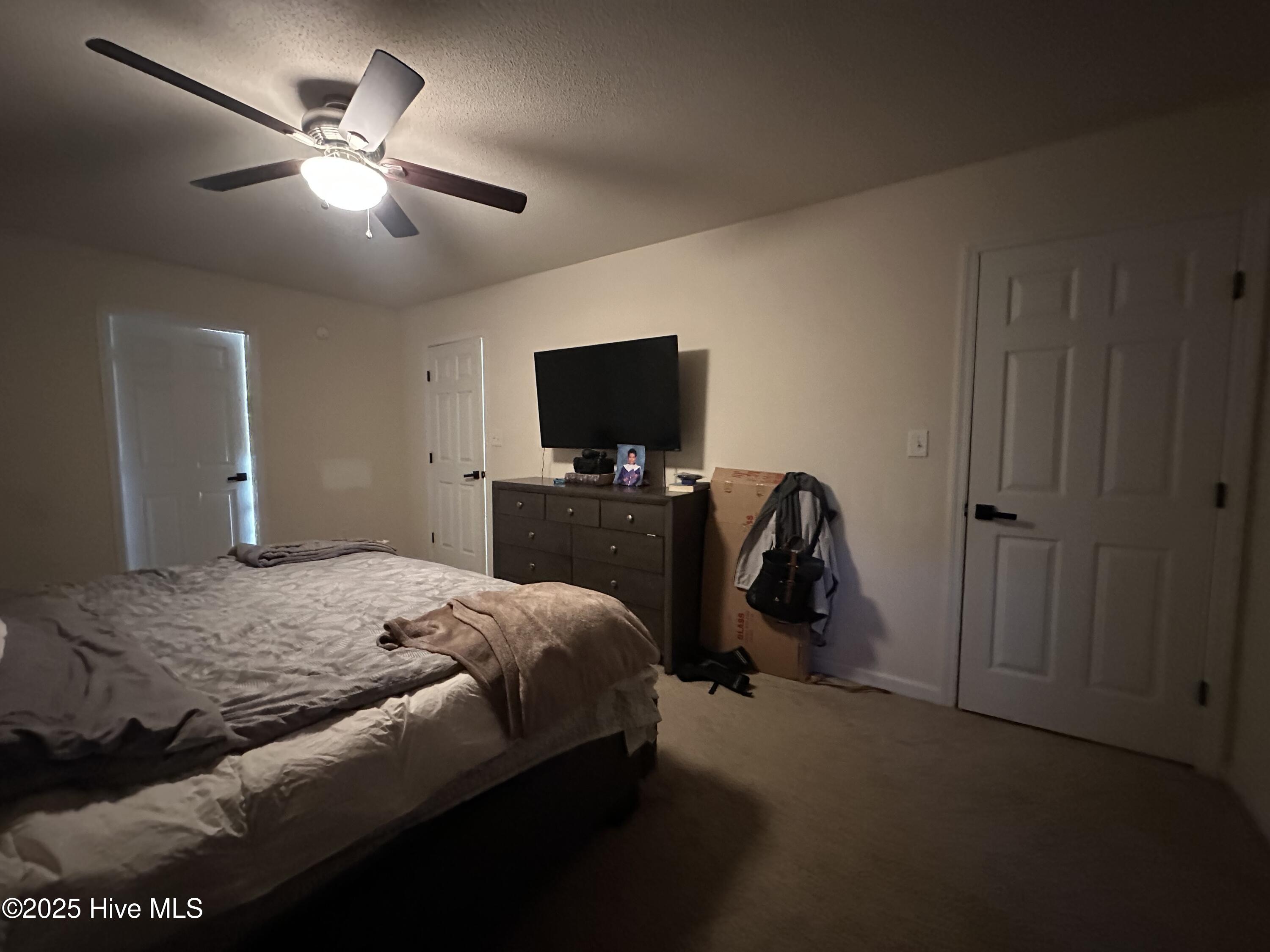 100545130 | Photo 27