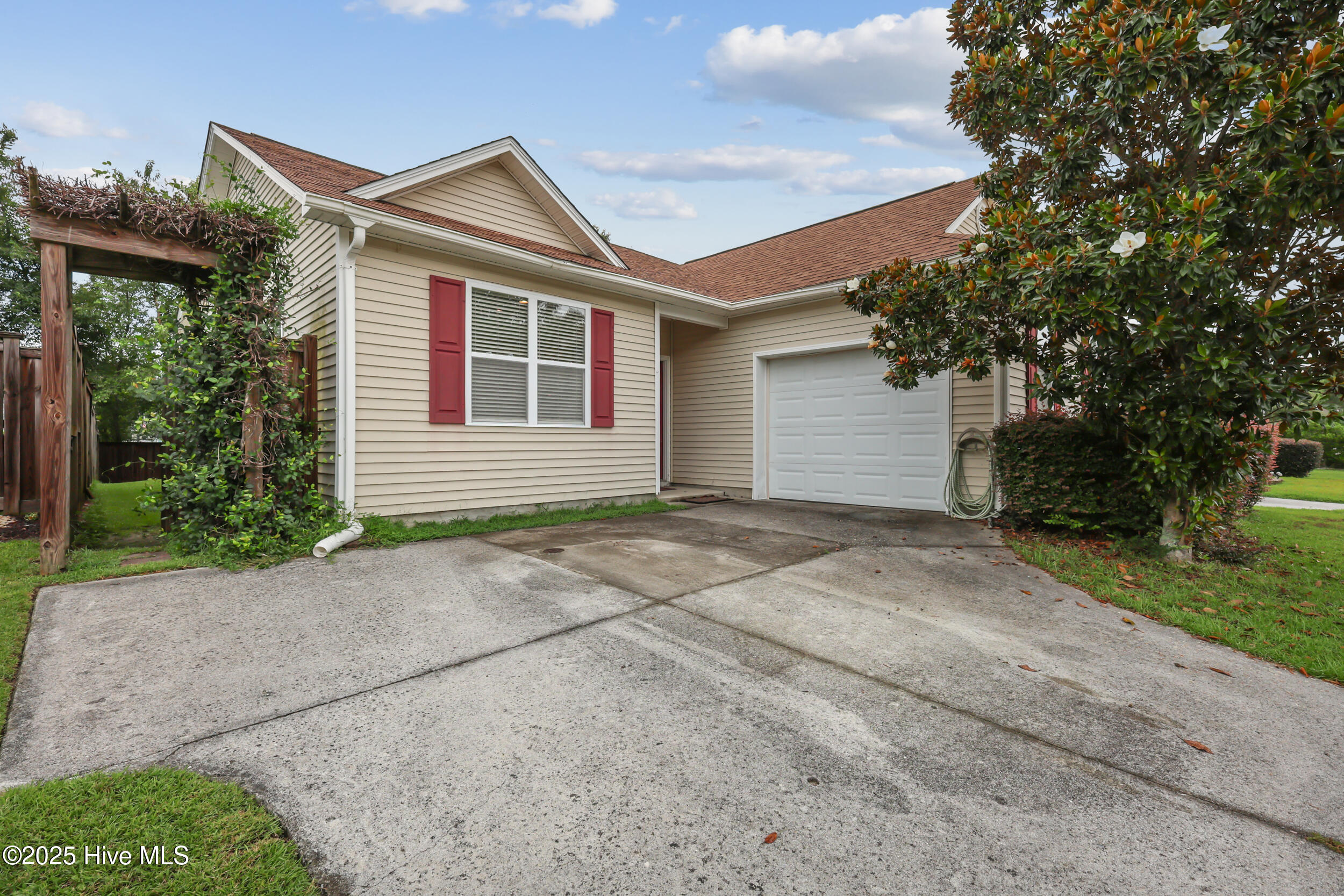 100520653 | Photo 19