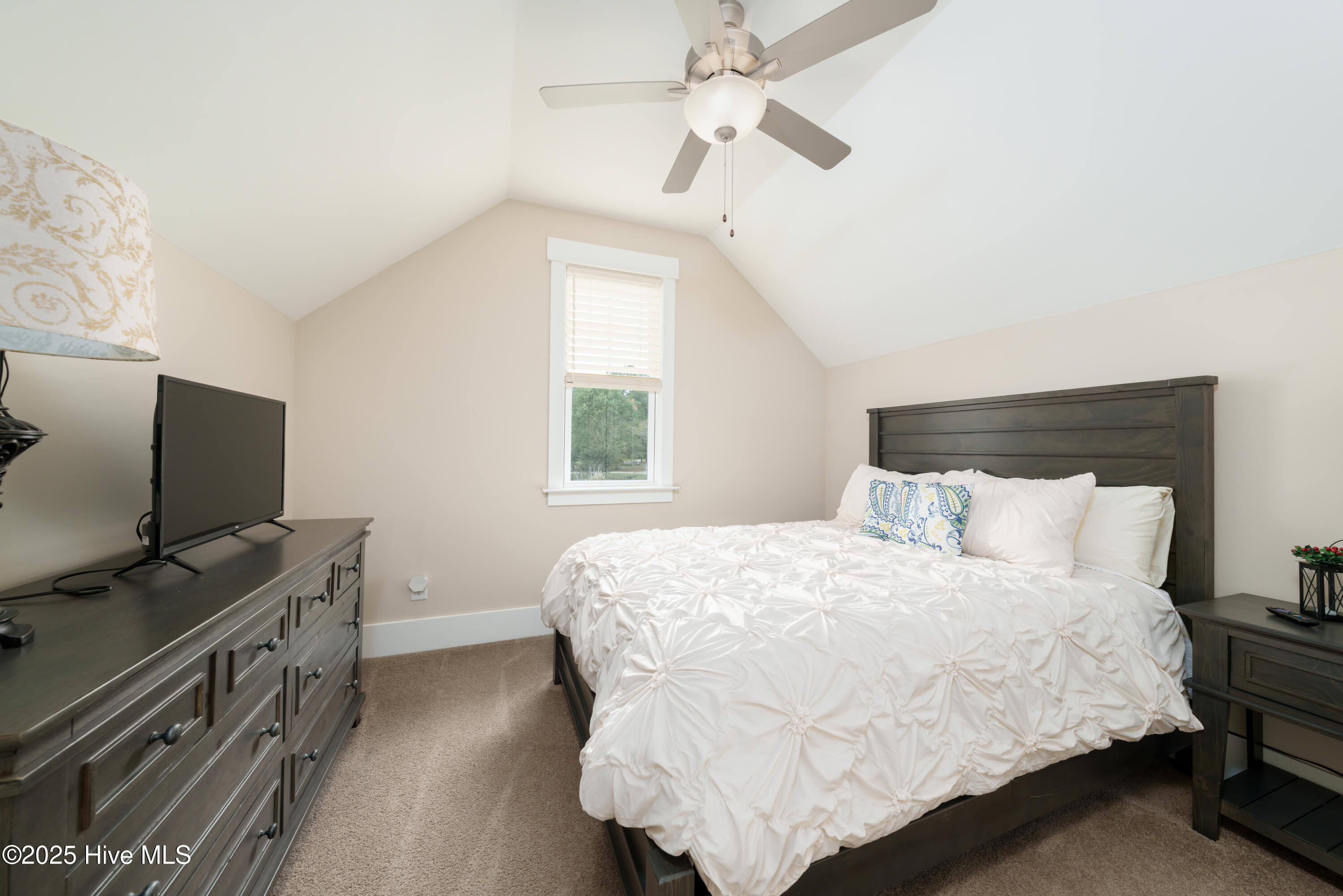 100537850 | Photo 31