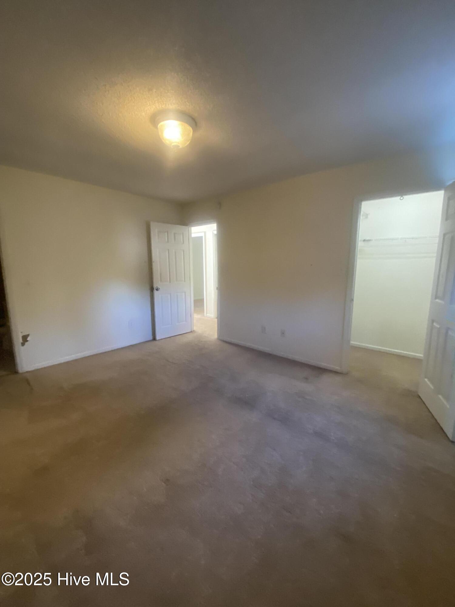 100517561 | Photo 25