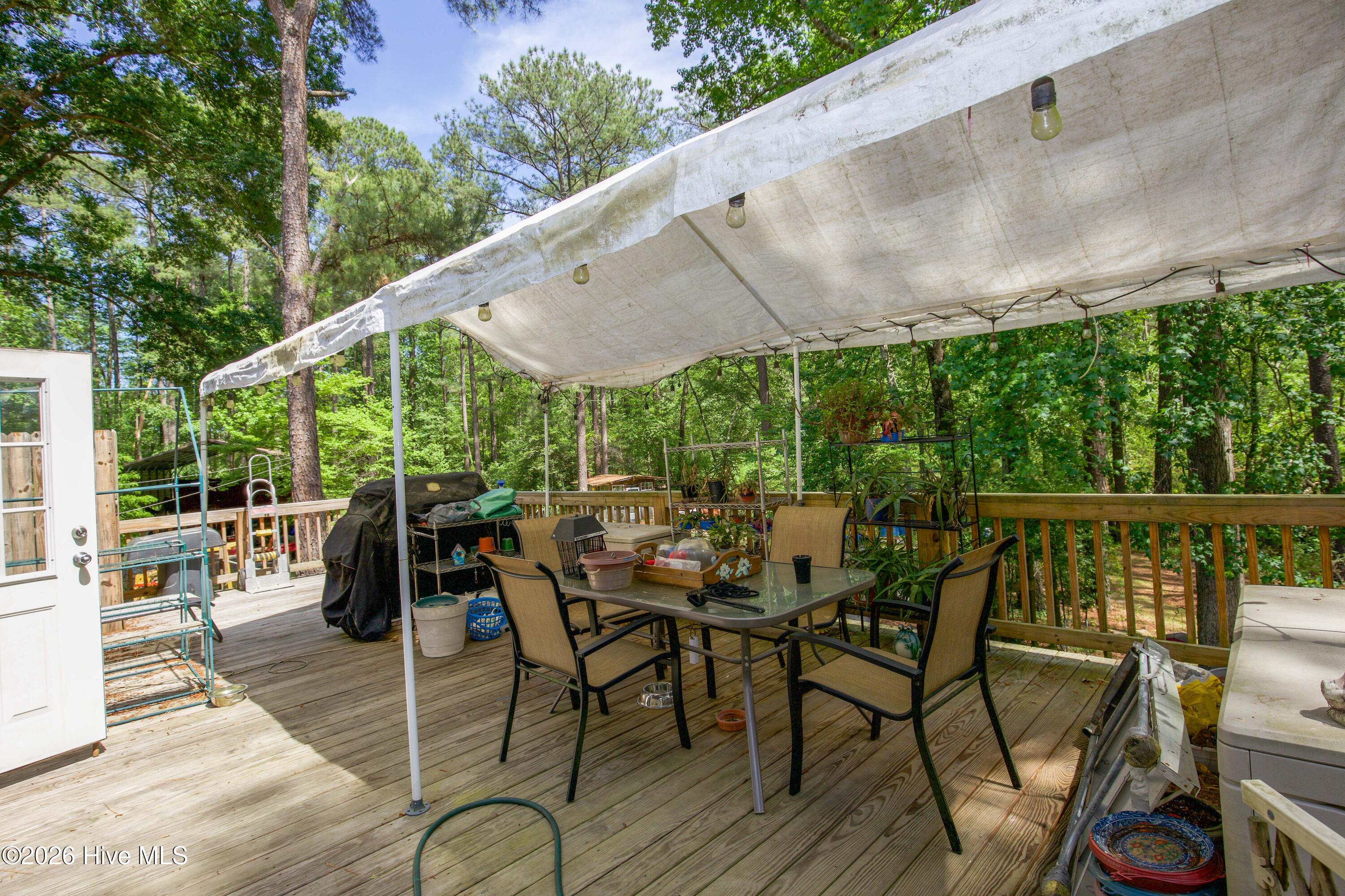 Back deck