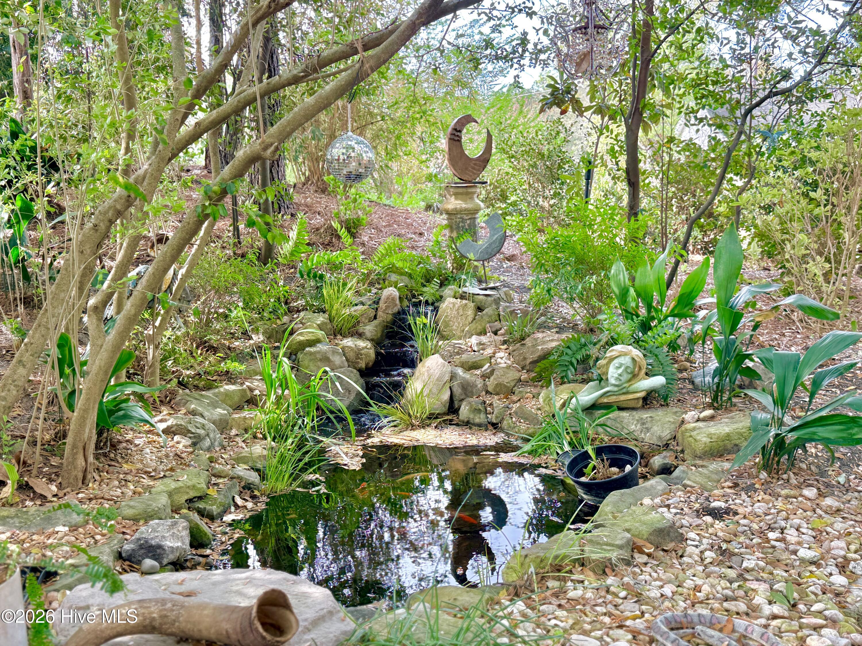 100559415 | Photo 83