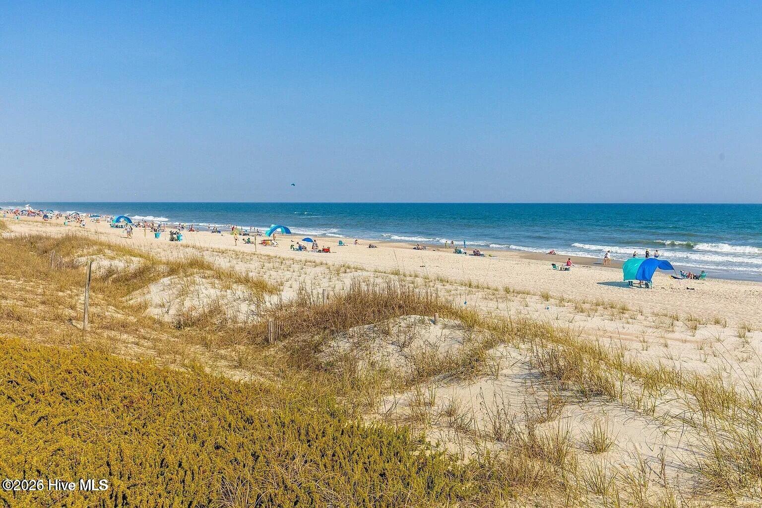 100553975 | Photo 24